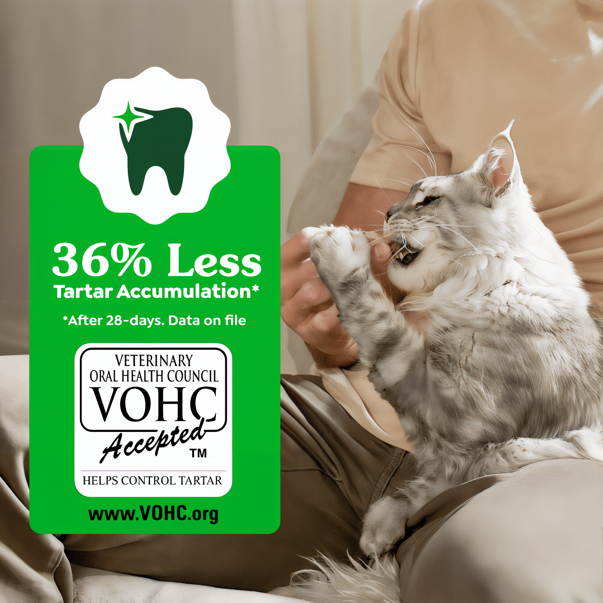 Greenies Feline Dental Catnip Flavor Cat Treats vohc accepted 36 percent less tartar accumulation