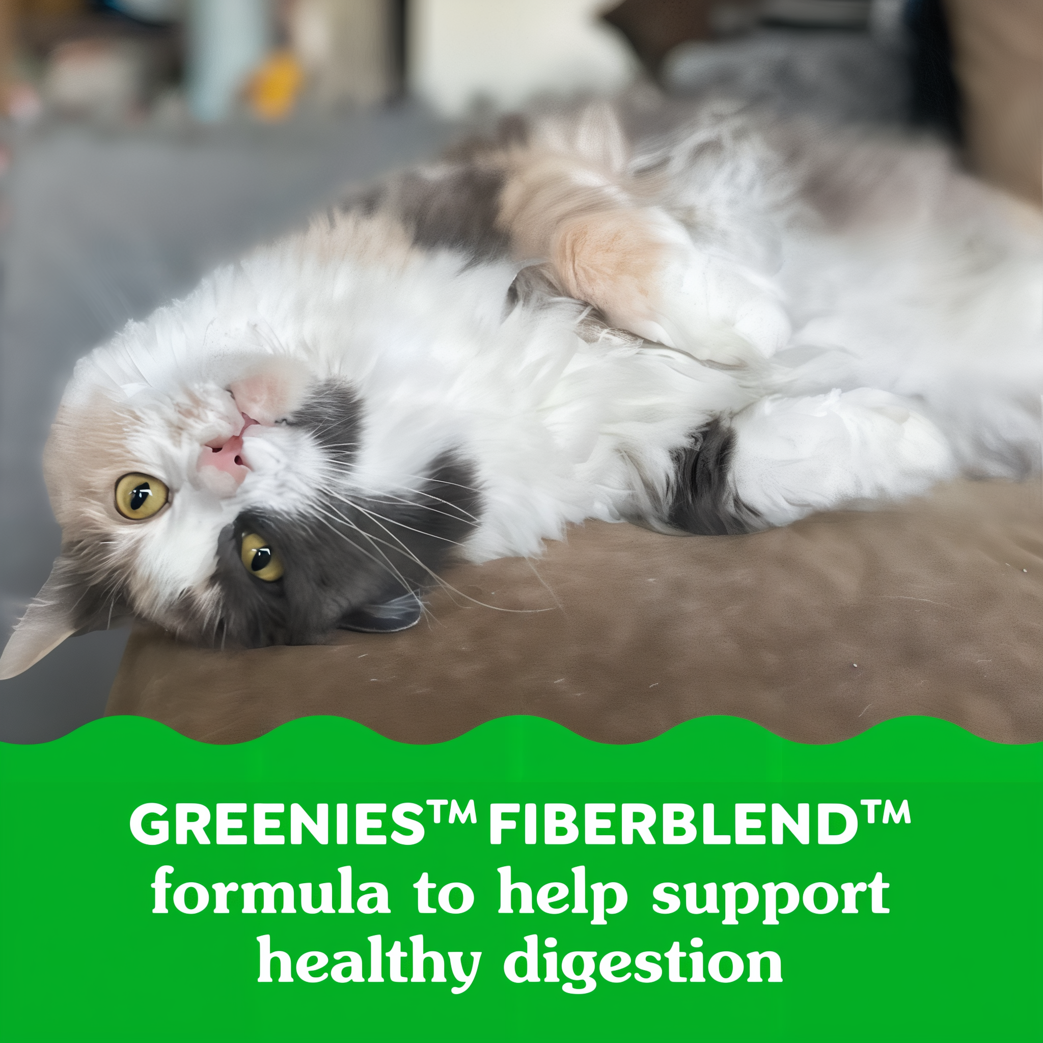 Greenies Feline SmartBites Healthy Indoor Chicken Flavor Cat Treats in use