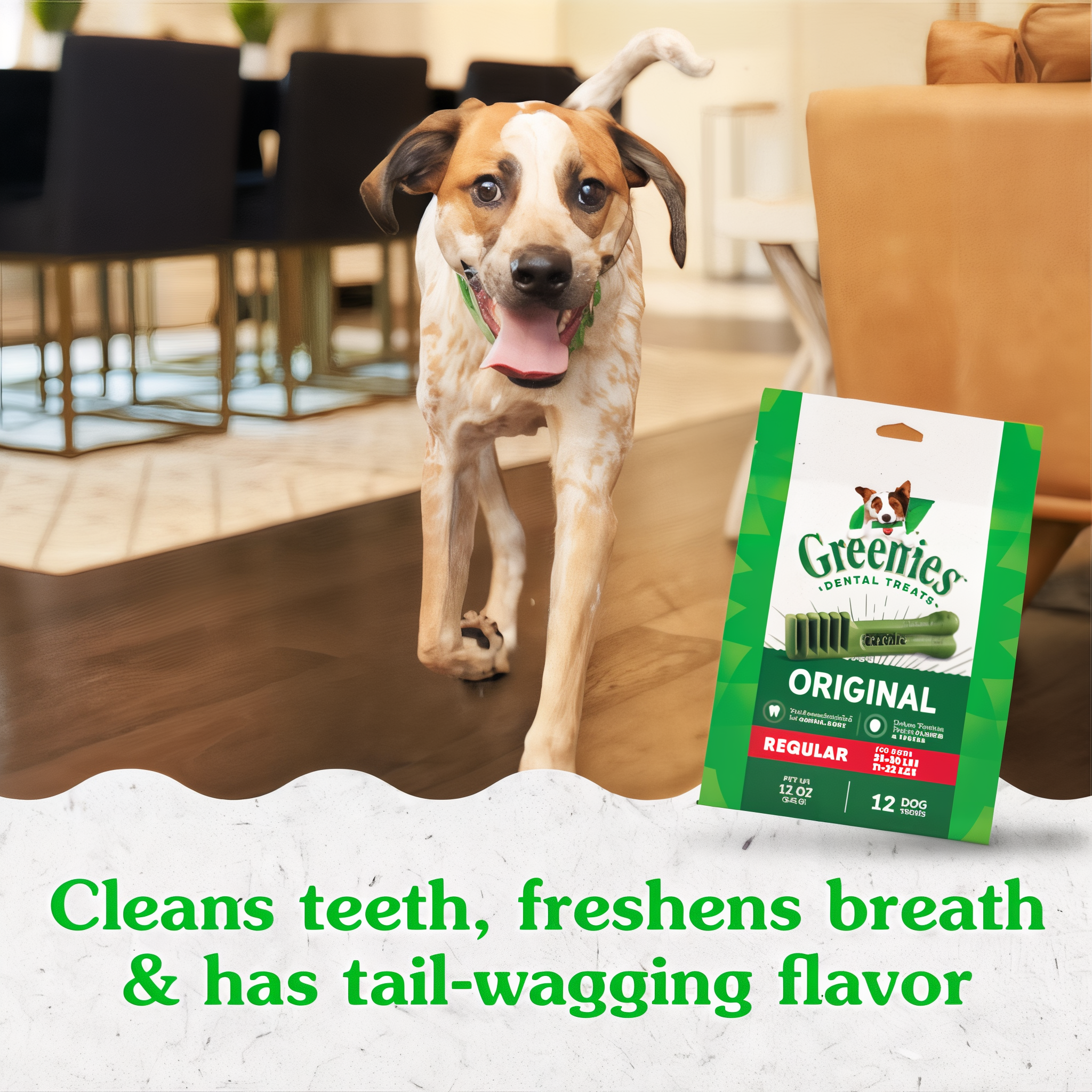 Greenies Original dental dog treats dog enjoying a dental treat