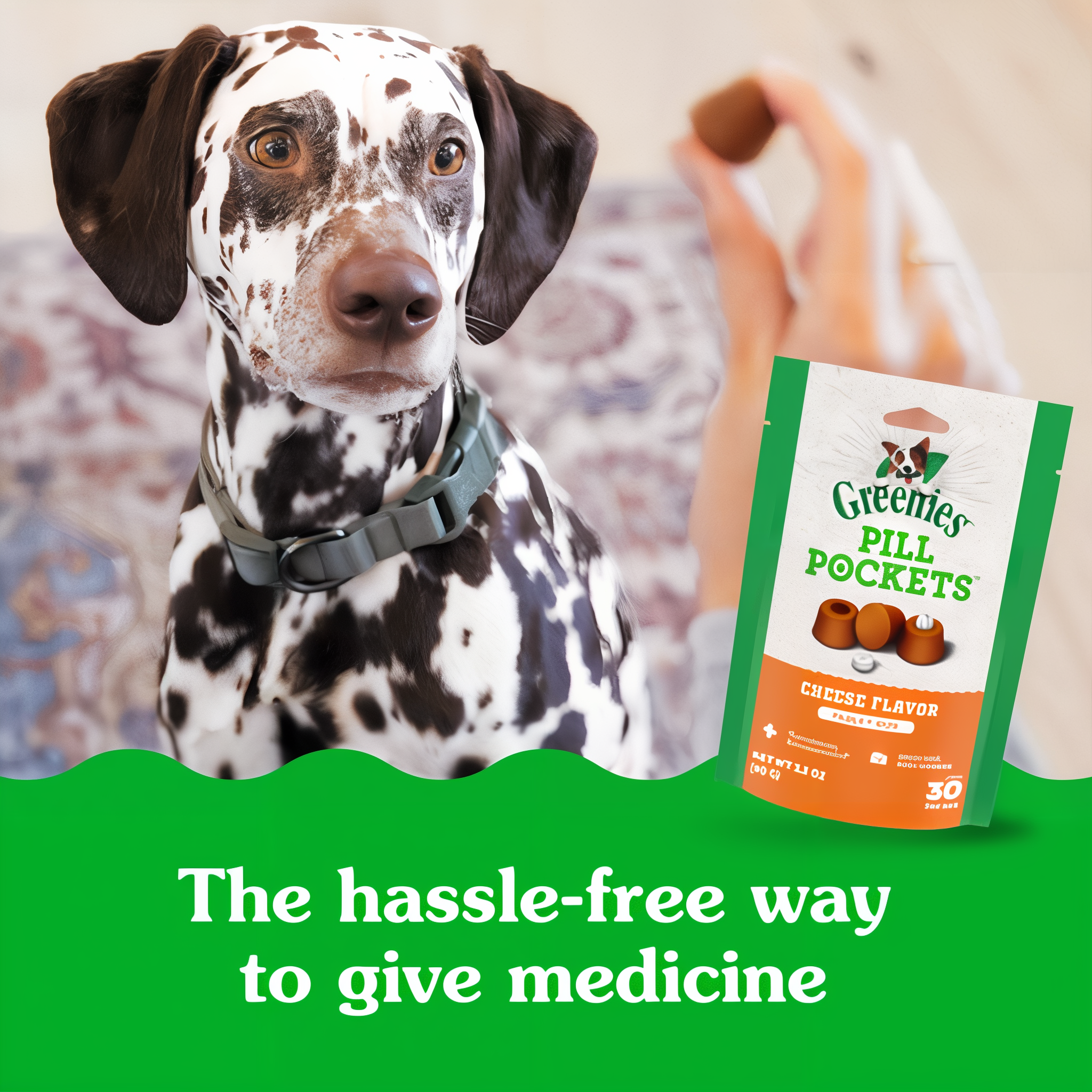 Greenies Pill Pockets Capsule Size Cheese Flavor Soft Dog Treats in use