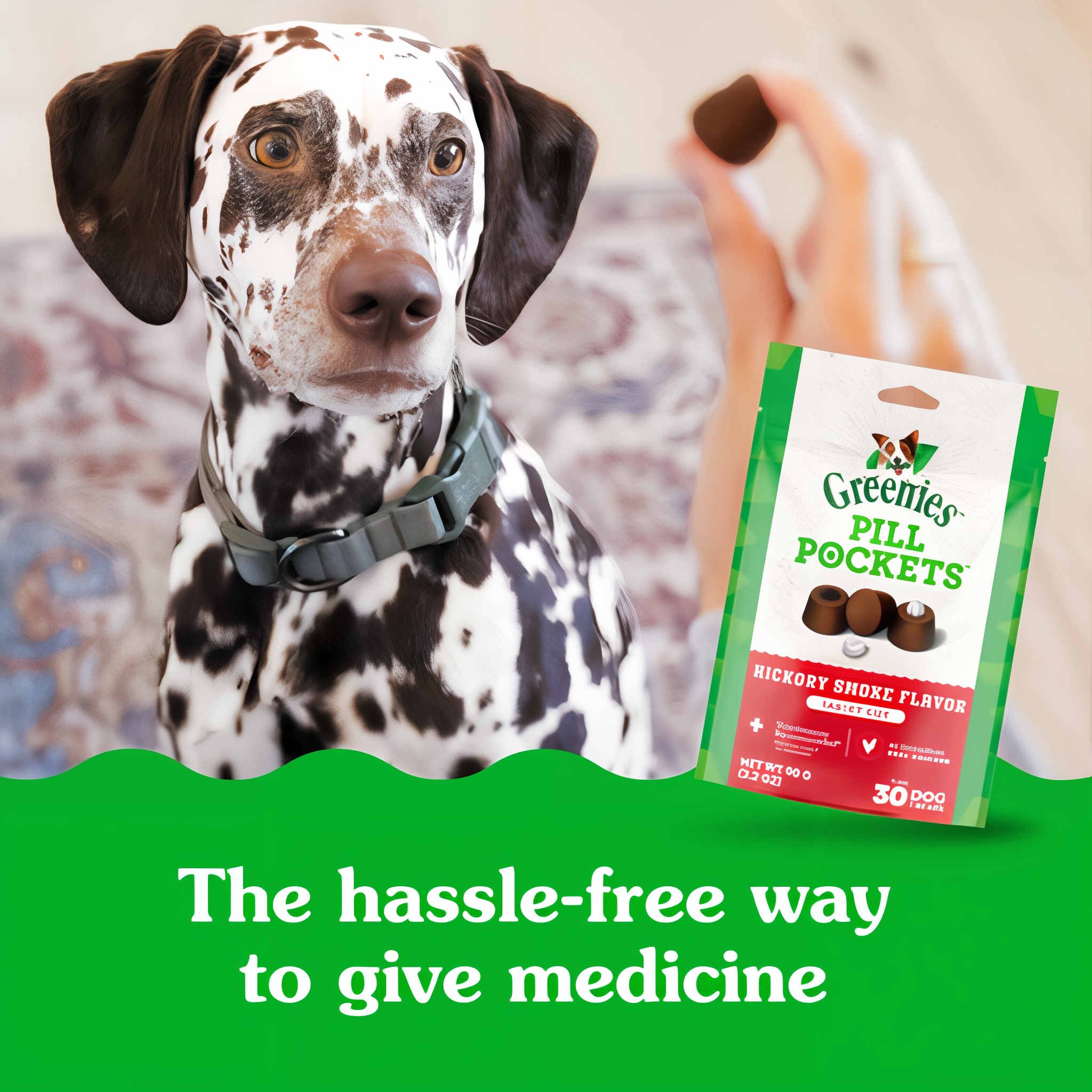 Greenies Pill Pockets Capsule Size Hickory Smoke Flavor Soft Dog Treats in use