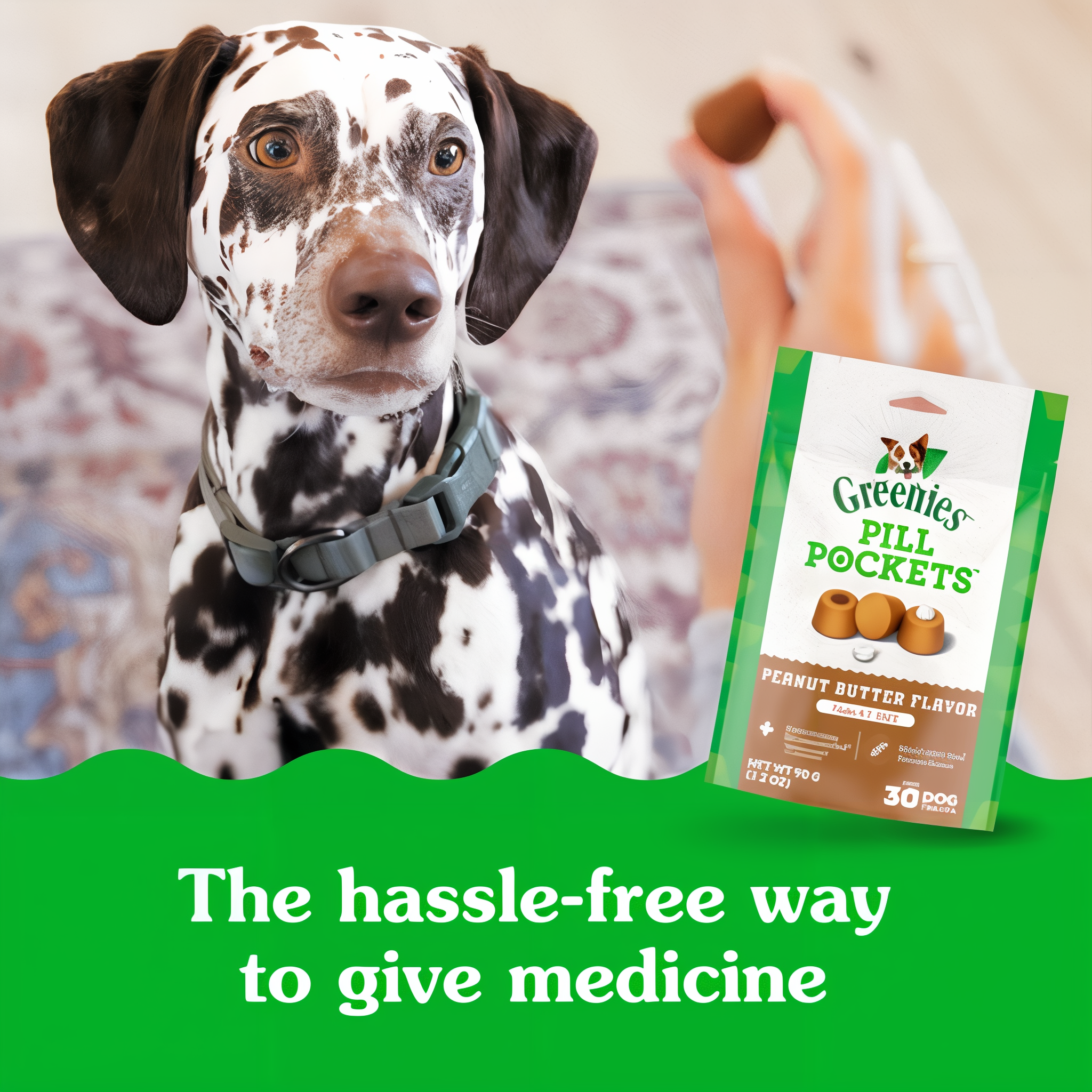 Greenies Pill Pockets Capsule Size Real Peanut Butter Soft Dog Treats in use