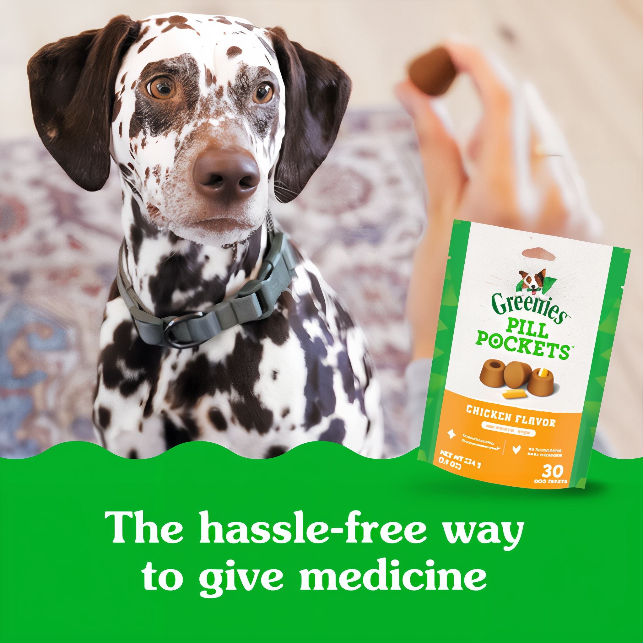 Greenies Pill Pockets Tablet Size Chicken Flavor Soft Dog Treats in use
