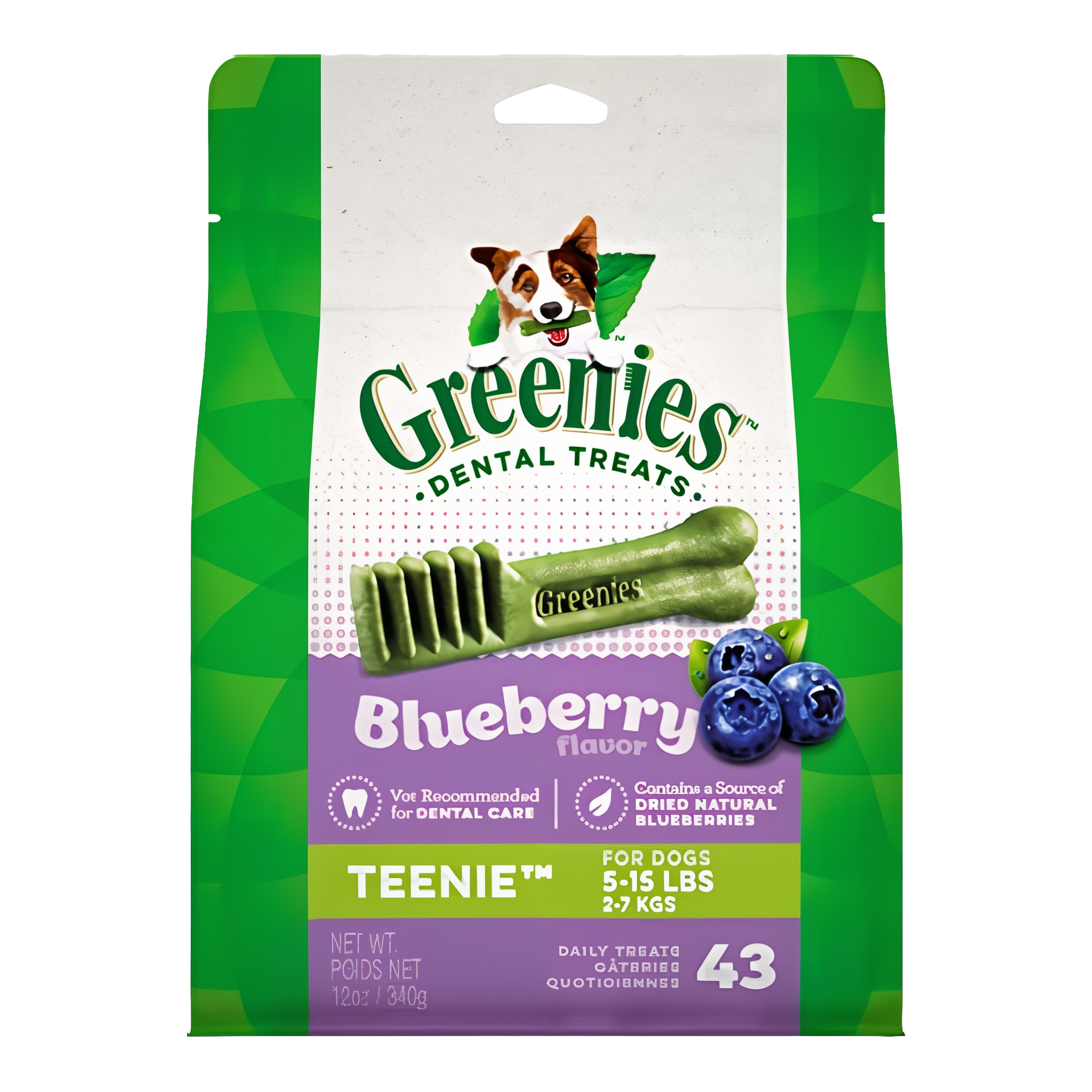Greenies Teenie Chewy Dental Dog Treats Blueberry Flavor