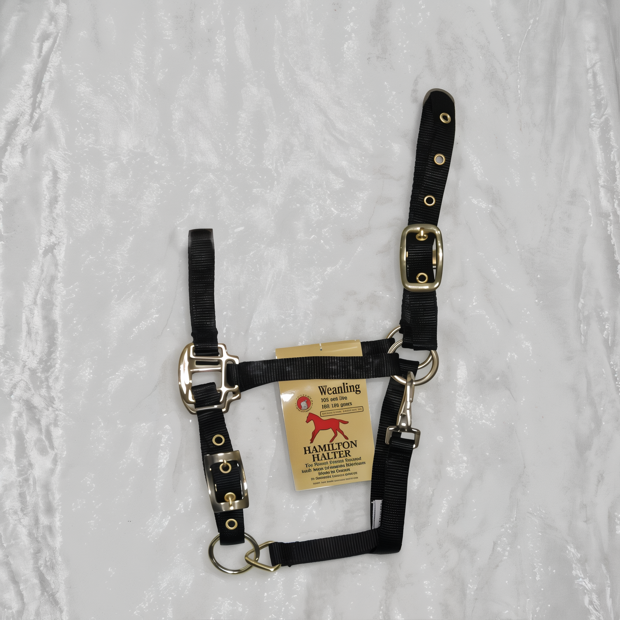 Black Hamilton Halter Company Adjustable Chin Halter With Snap, Weanling size.