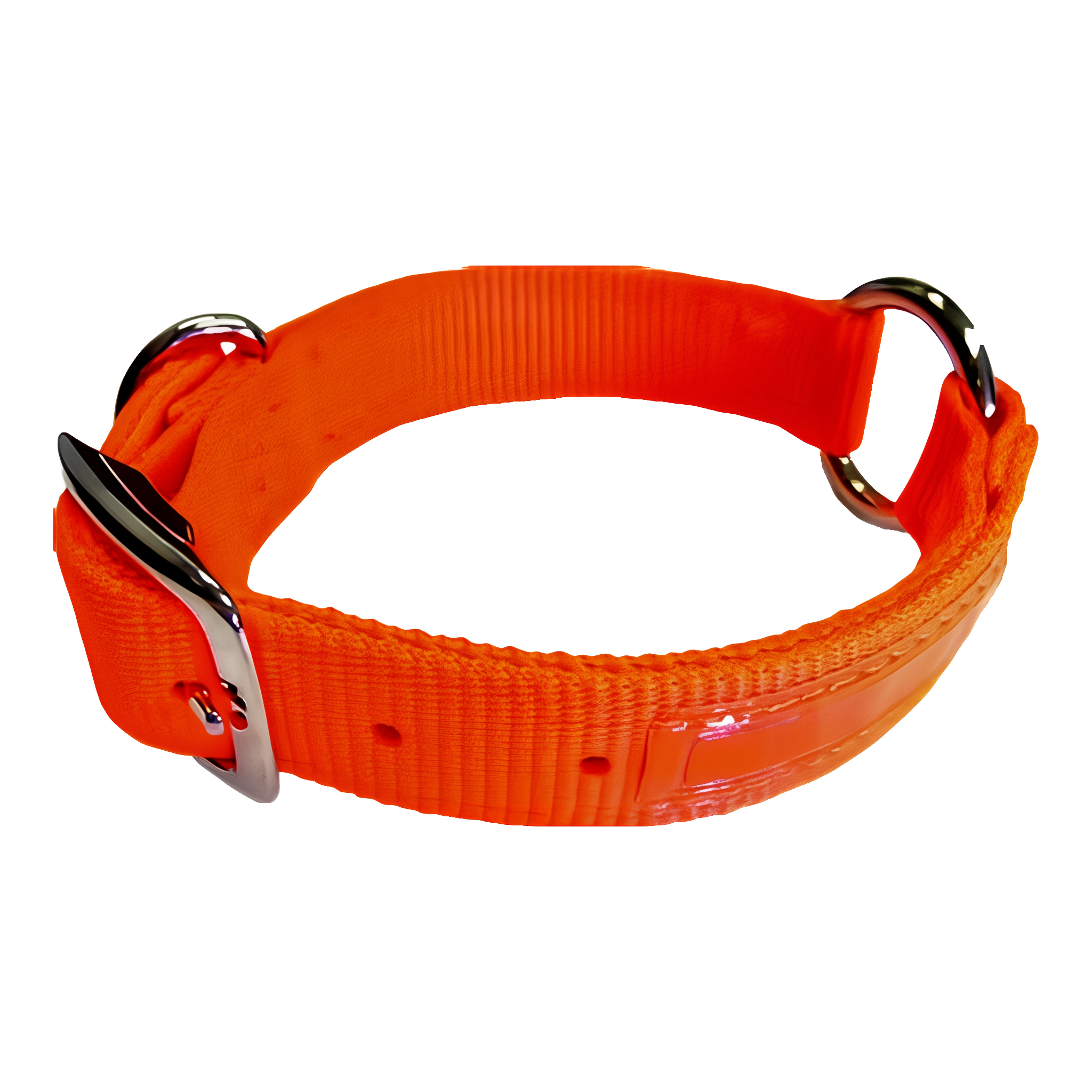 Saferite Colr W/R