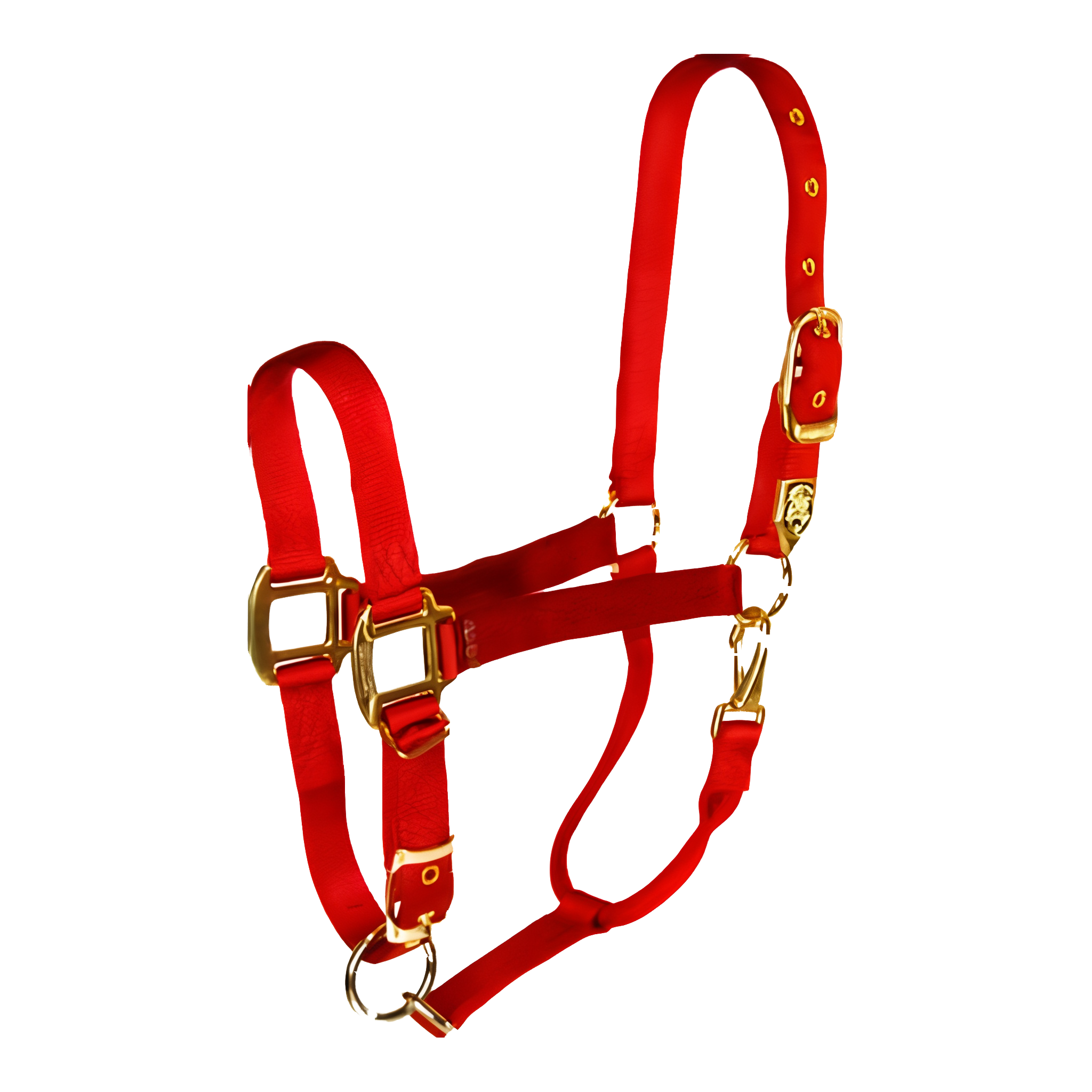Hamilton 1-Inch Nylon Halter with Adjustable Chin