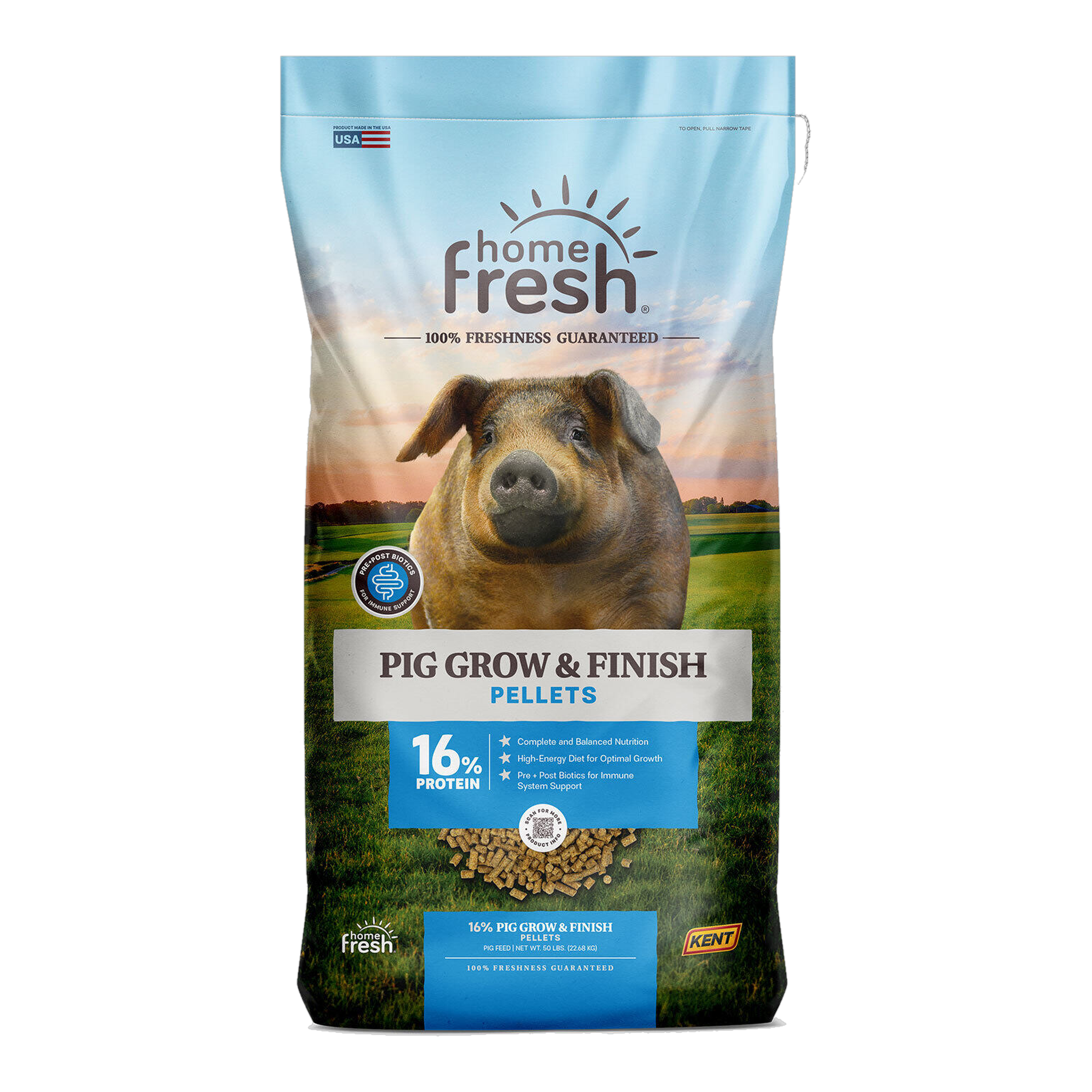 Home Fresh Pig Grow & Finish Pellet 50 LB