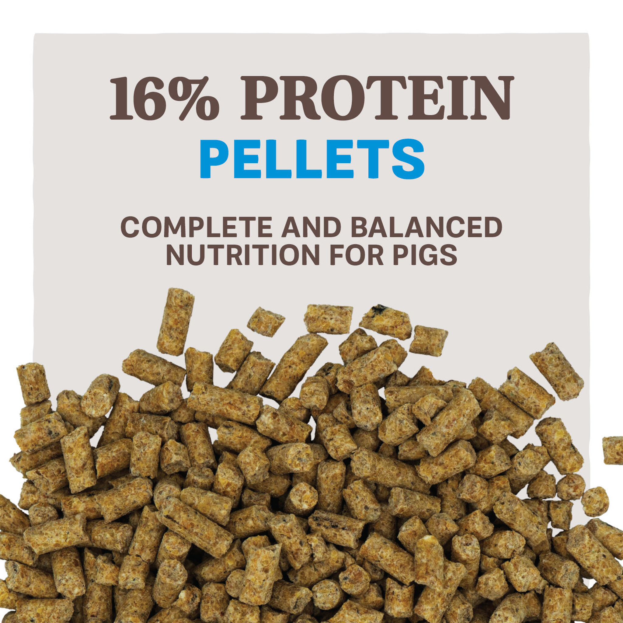 Home Fresh Pig Grow & Finish Pellet piggrowfinish pellets 50lb feed
