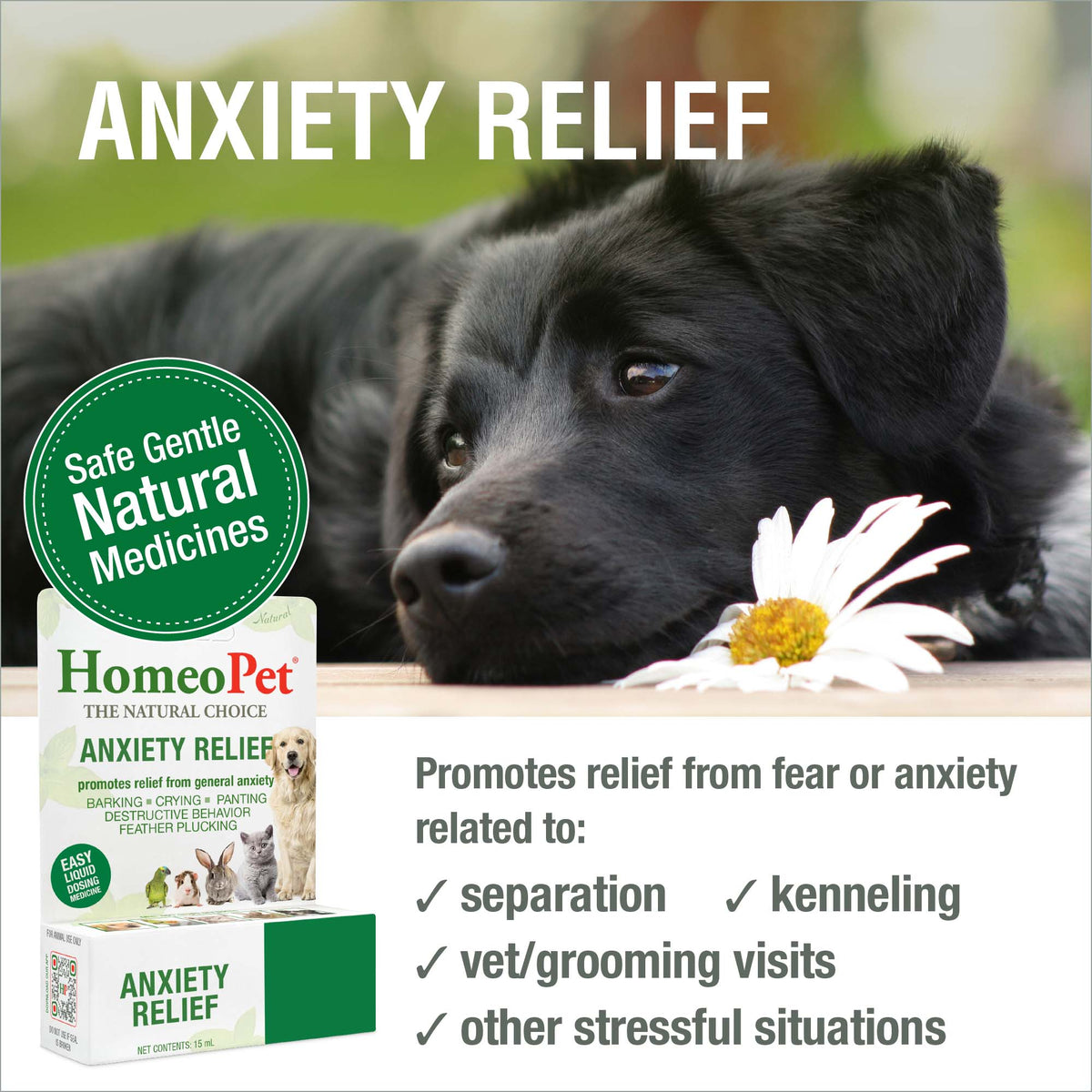 HomeoPet Anxiety Relief safe gentle natural medicine benefits