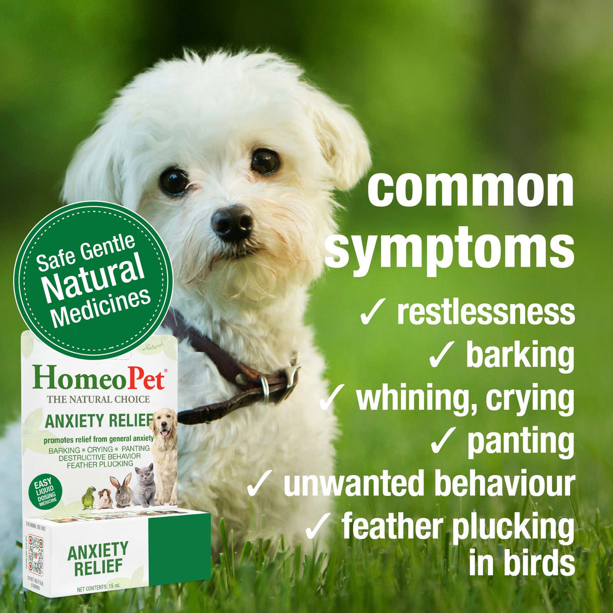 Common symptoms HomeoPet Anxiety Relief may help relieve