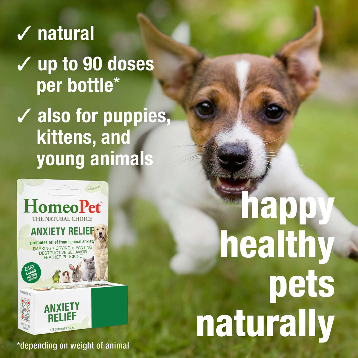 HomeoPet Anxiety Relief natural, up to 90 doses per bottle, for puppies, kittens and young animals