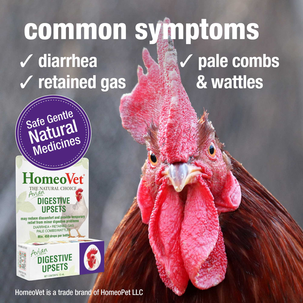 Common symptoms HomeoPet Avian Digestive Upsets may help relieve
