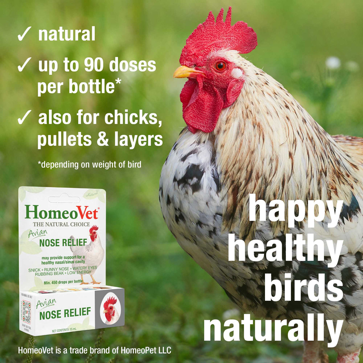 HomeoPet Avian Nose Relief natural, up to 90 doses per bottle