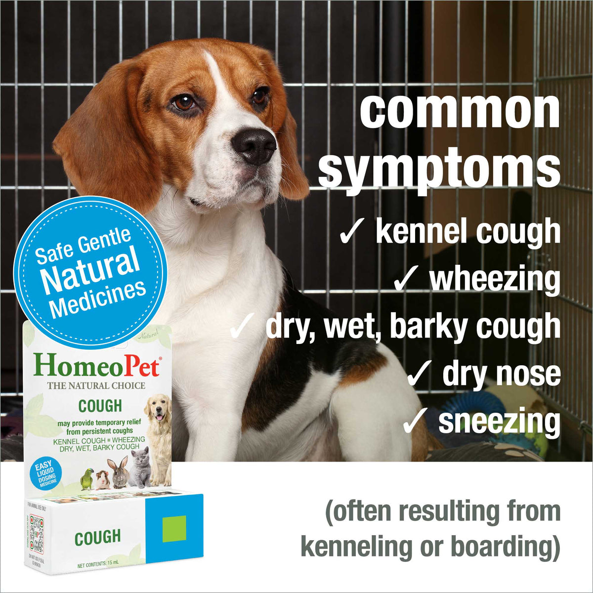 Common symptoms HomeoPet Cough may help relieve