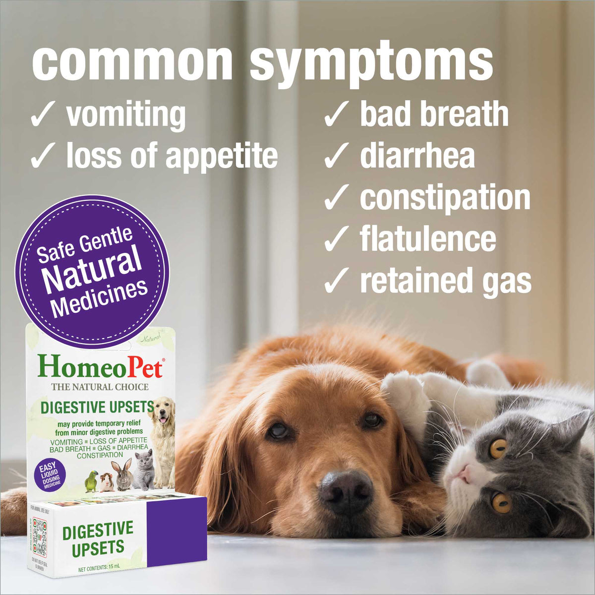 Common symptoms HomeoPet Digestive Upsets may help relieve