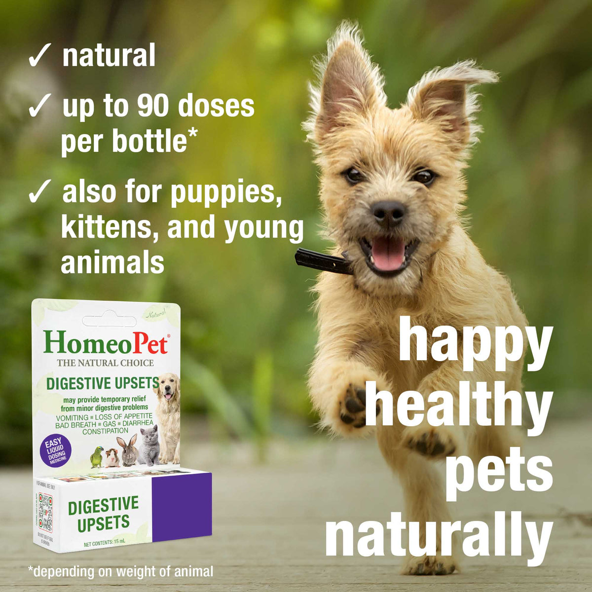 HomeoPet Digestive Upsets natural, up to 90 doses per bottle, for puppies, kittens and young animals