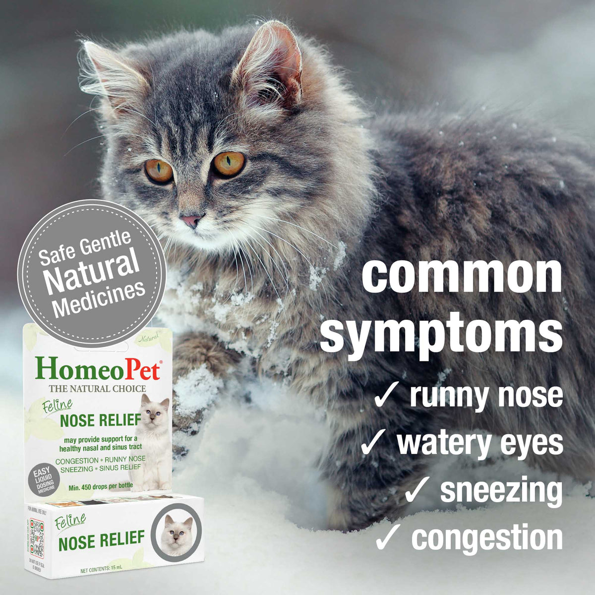 Common symptoms HomeoPet Feline Nose Relief may help relieve