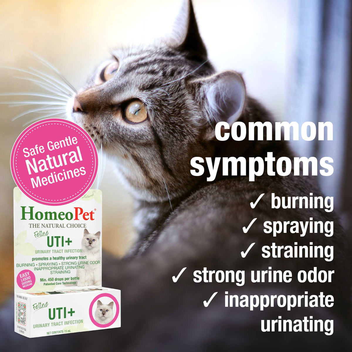 Common symptoms HomeoPet Feline UTI+ may help relieve