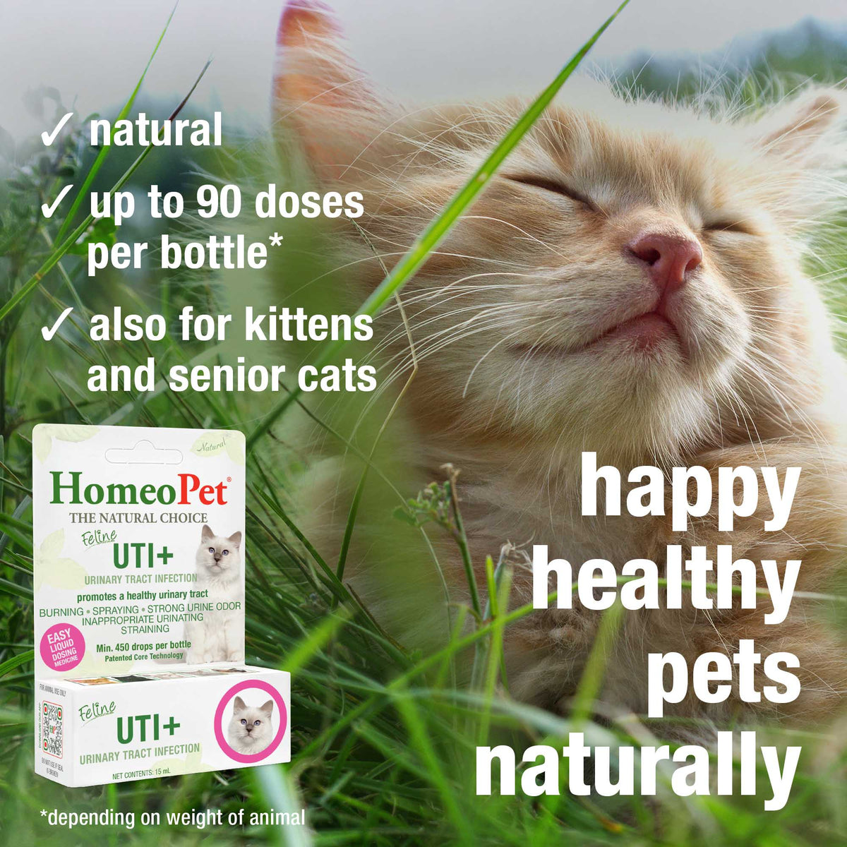 HomeoPet Feline UTI+ natural, up to 90 doses per bottle