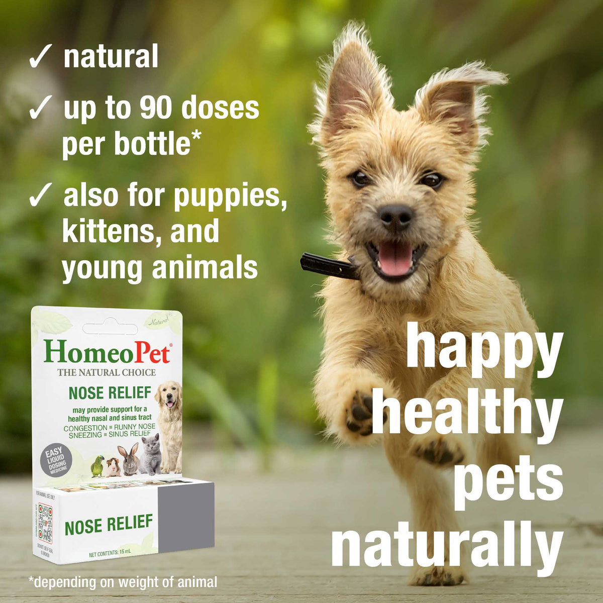 HomeoPet Nose Relief natural, up to 90 doses per bottle, for puppies, kittens and young animals