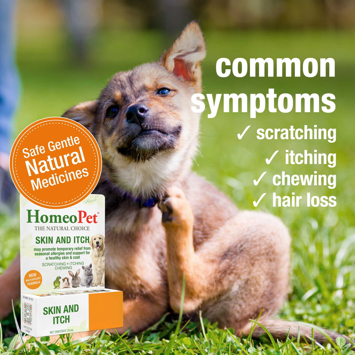 Common symptoms HomeoPet Skin and Itch may help relieve