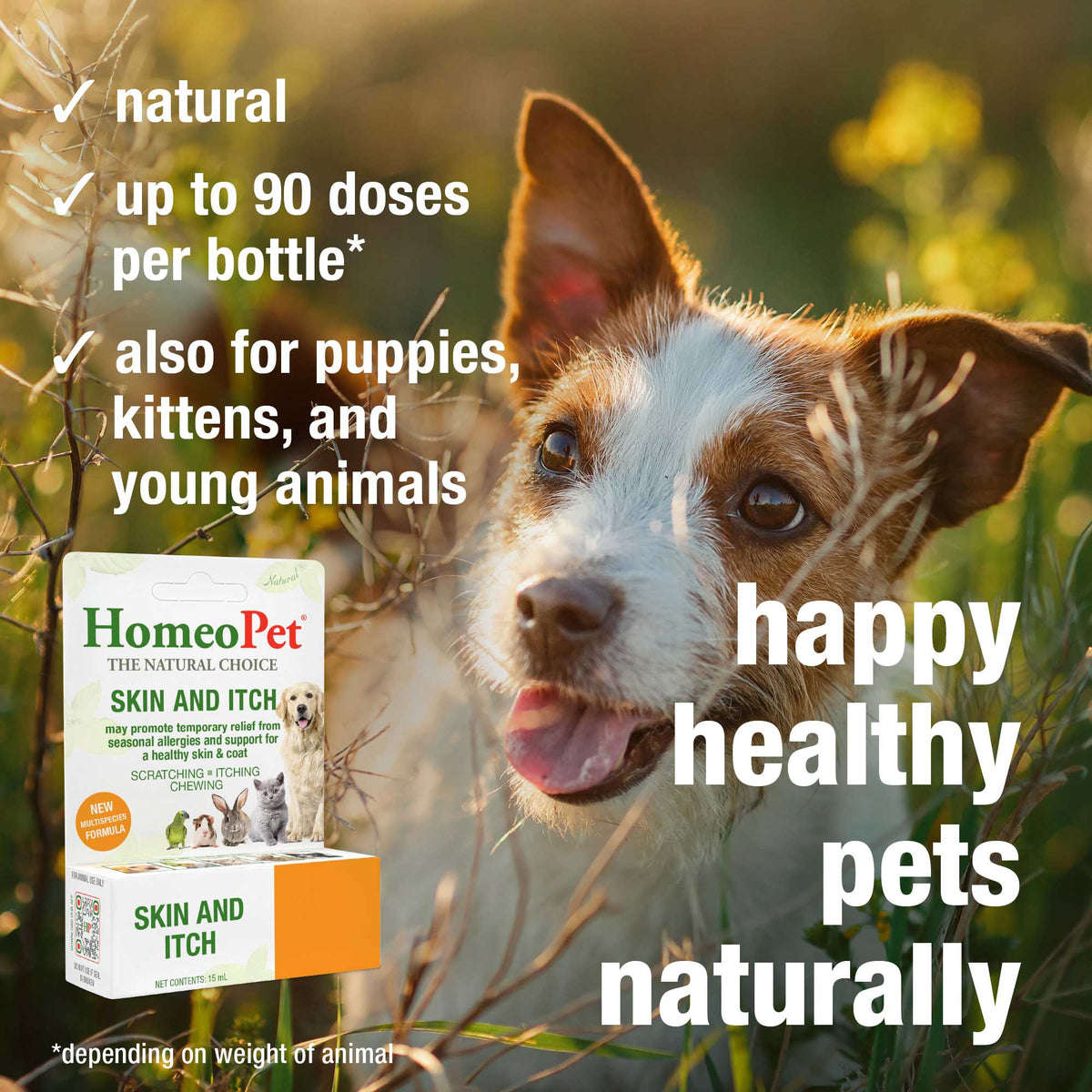 HomeoPet Skin and Itch natural, up to 90 doses per bottle, for puppies, kittens and young animals