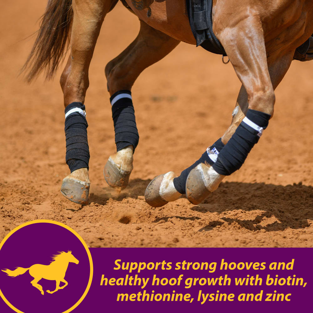 Horse Health Joint Combo Hoof & Coat (6)