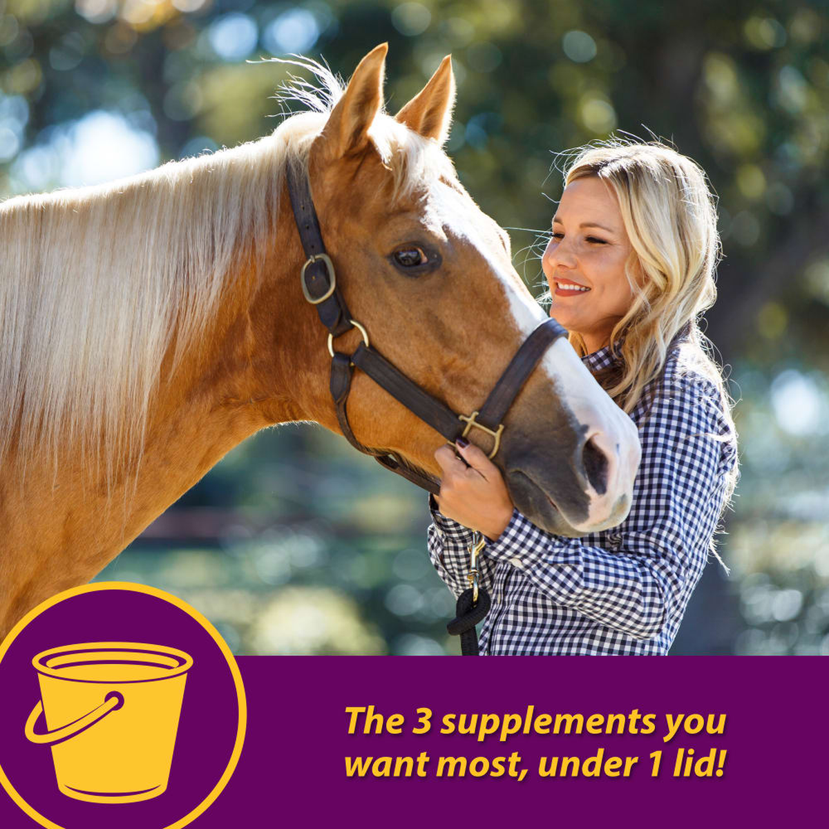 Horse Health Joint Combo Hoof & Coat