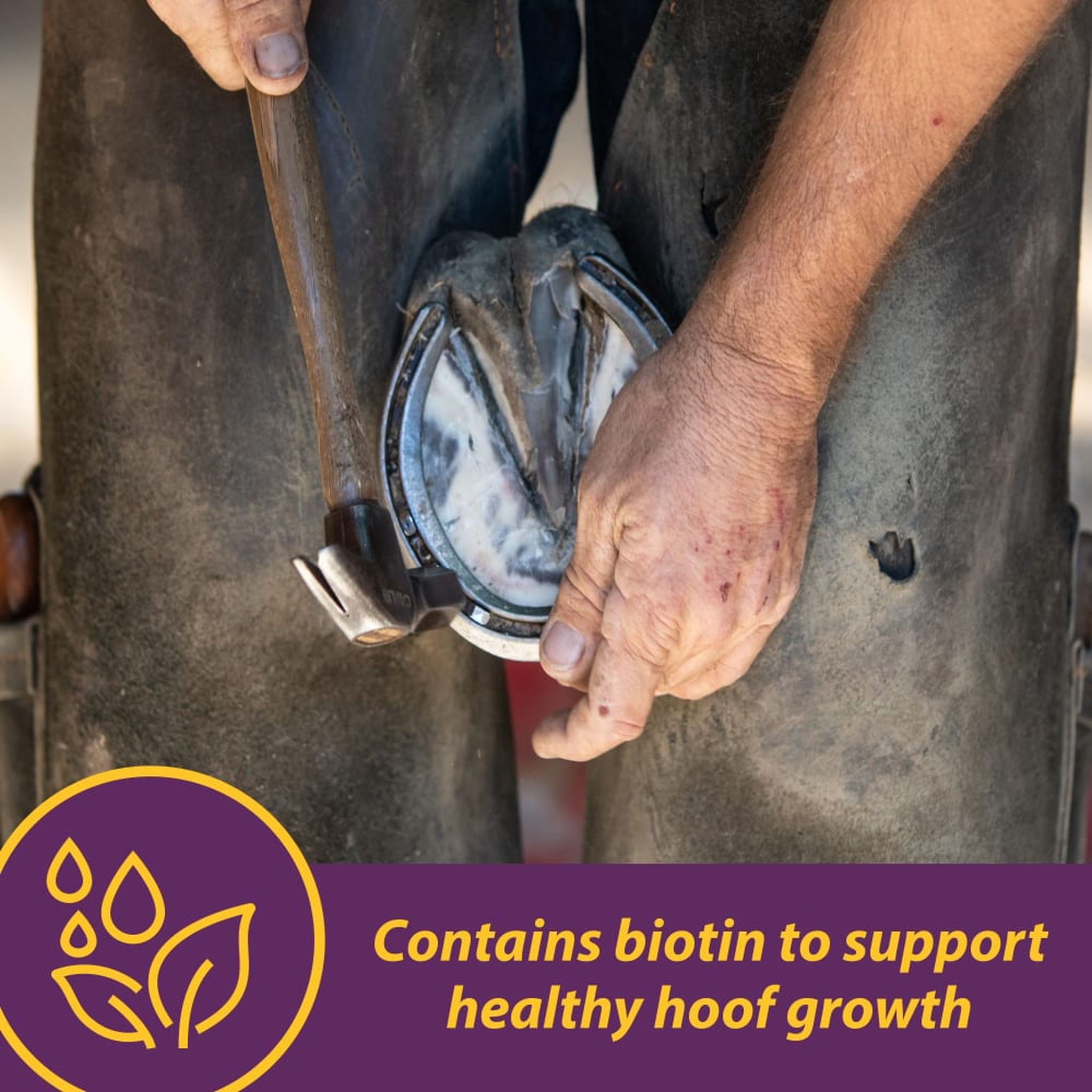 Horse Health Vita Biotin Crumbles (2)