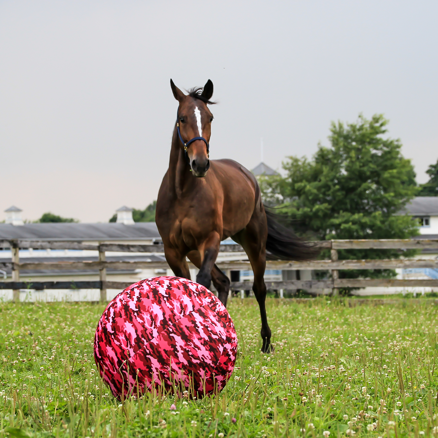 Horsemen's Pride Jolly Mega Ball Cover