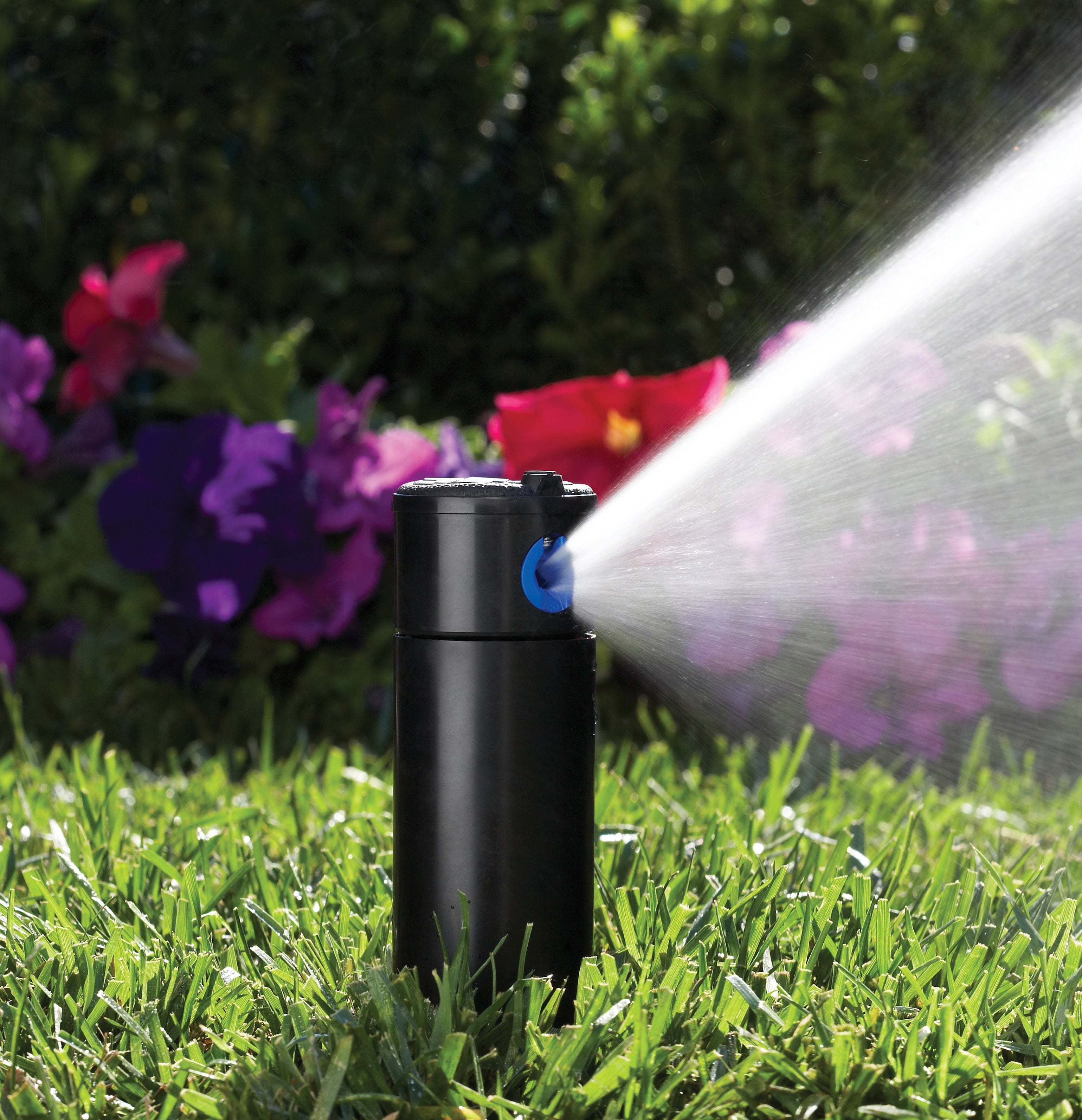 Hunter PGP-ADJ 4 in. pop-up gear-drive rotor watering a residential flower garden with petunias and azaleas