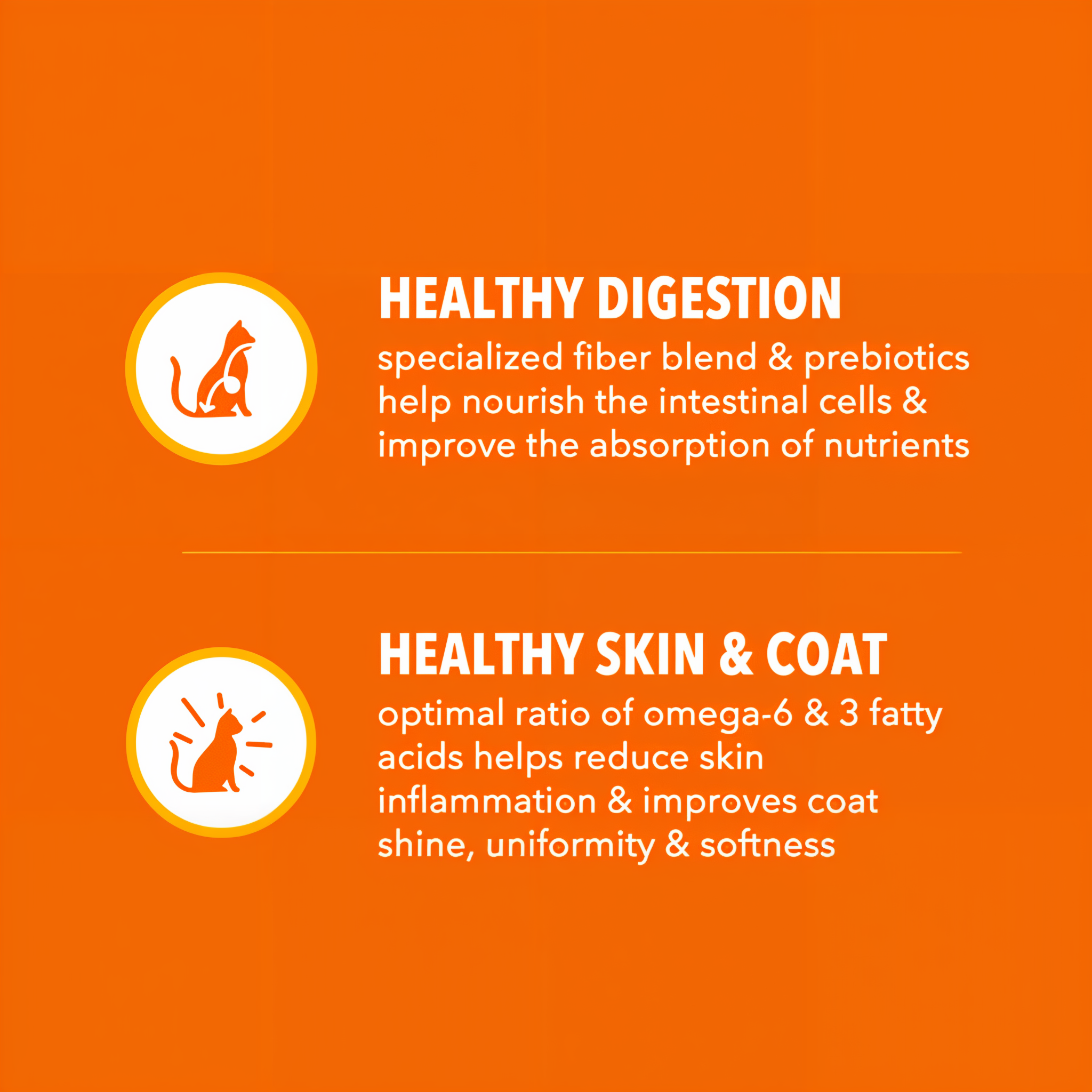 IAMS Proactive Health Healthy Adult with Chicken Dry Cat Food product detail 3