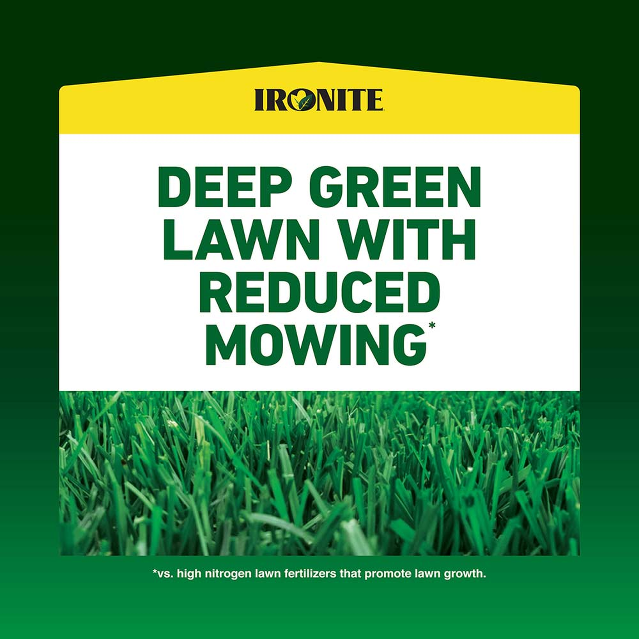 Deep green lawn with reduced mowing shown on close-up turf