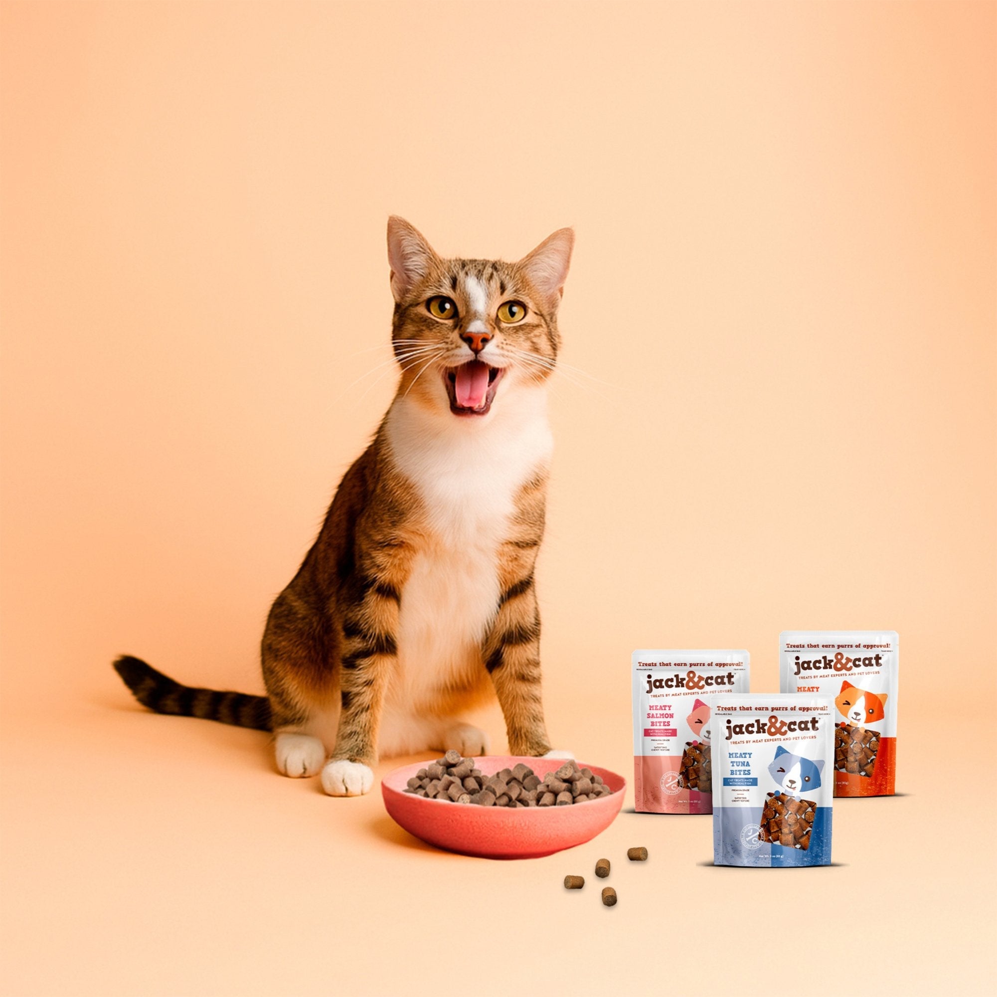 Cat enjoying Jack & Cat meaty bite treats at mealtime