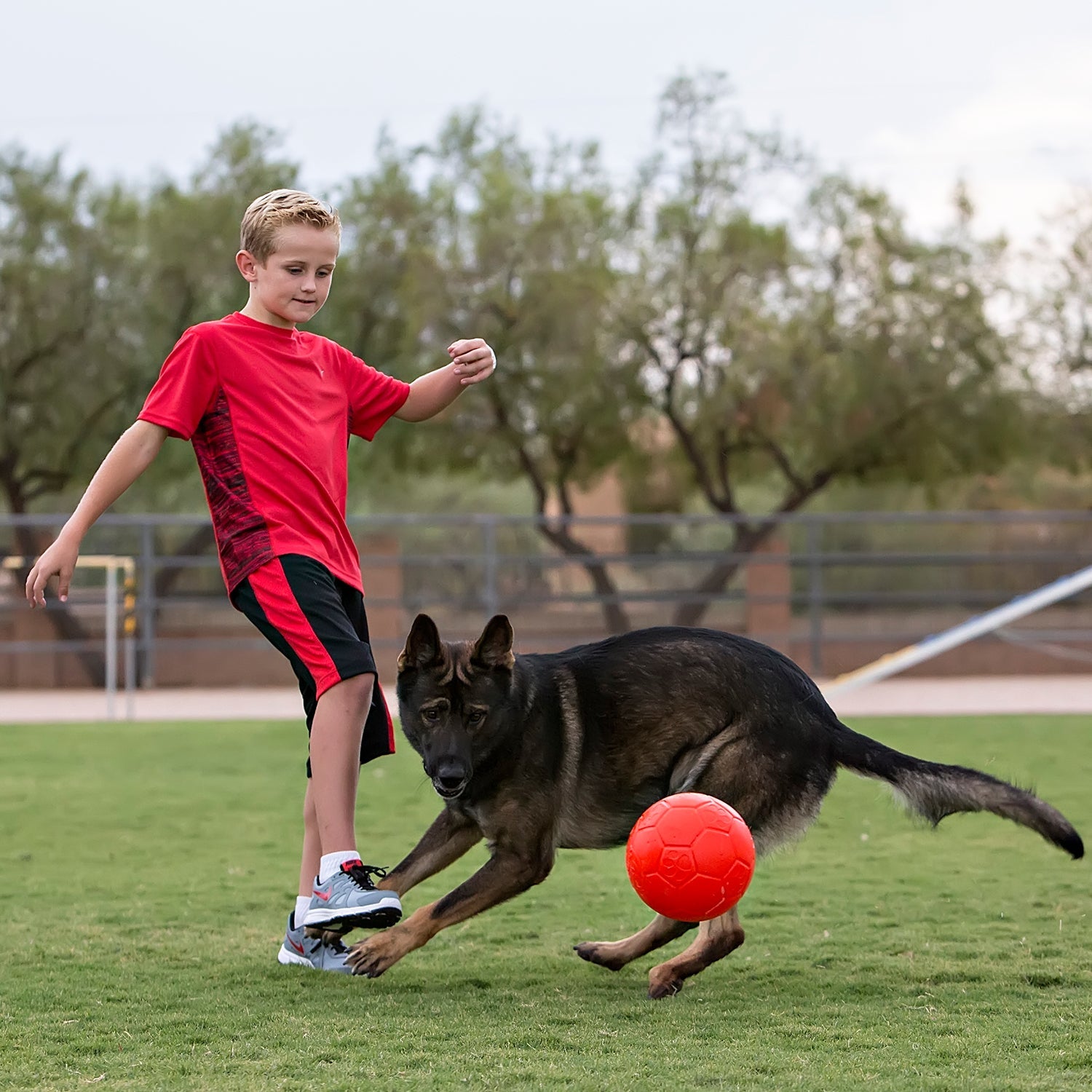 Jolly Pets Jolly Soccer Ball Dog Toy