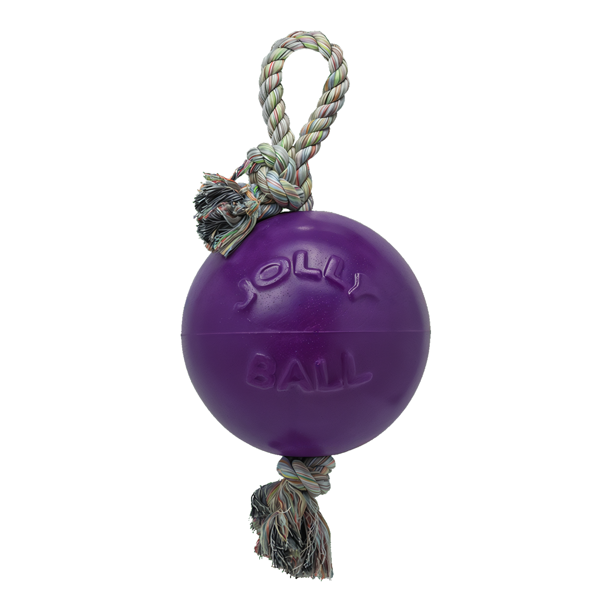 Jolly Pets Romp-n-Roll Dog Toy Purple Large (8")