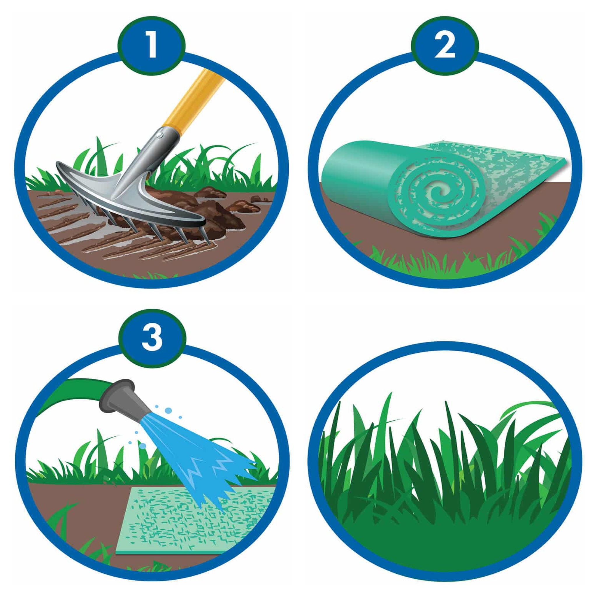 How to use the Black Beauty grass seed roll in four steps: rake the soil, roll out the seed mat, water the seed mat, and watch the grass grow