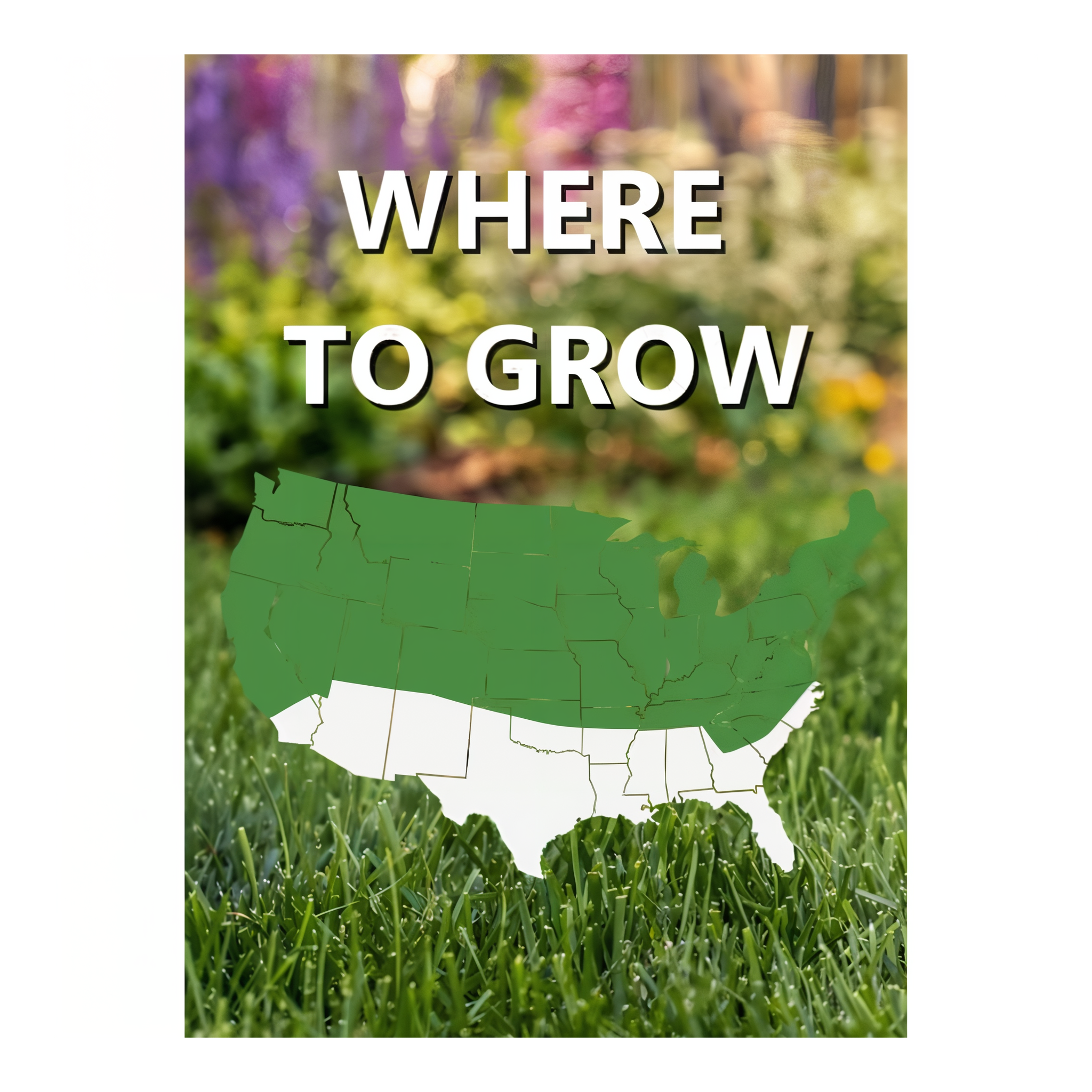 Where to grow map of the USA for Jonathan Green Black Beauty Shady Nooks Grass Seed, showing the northern regions where this cool-season shade grass mixture performs best