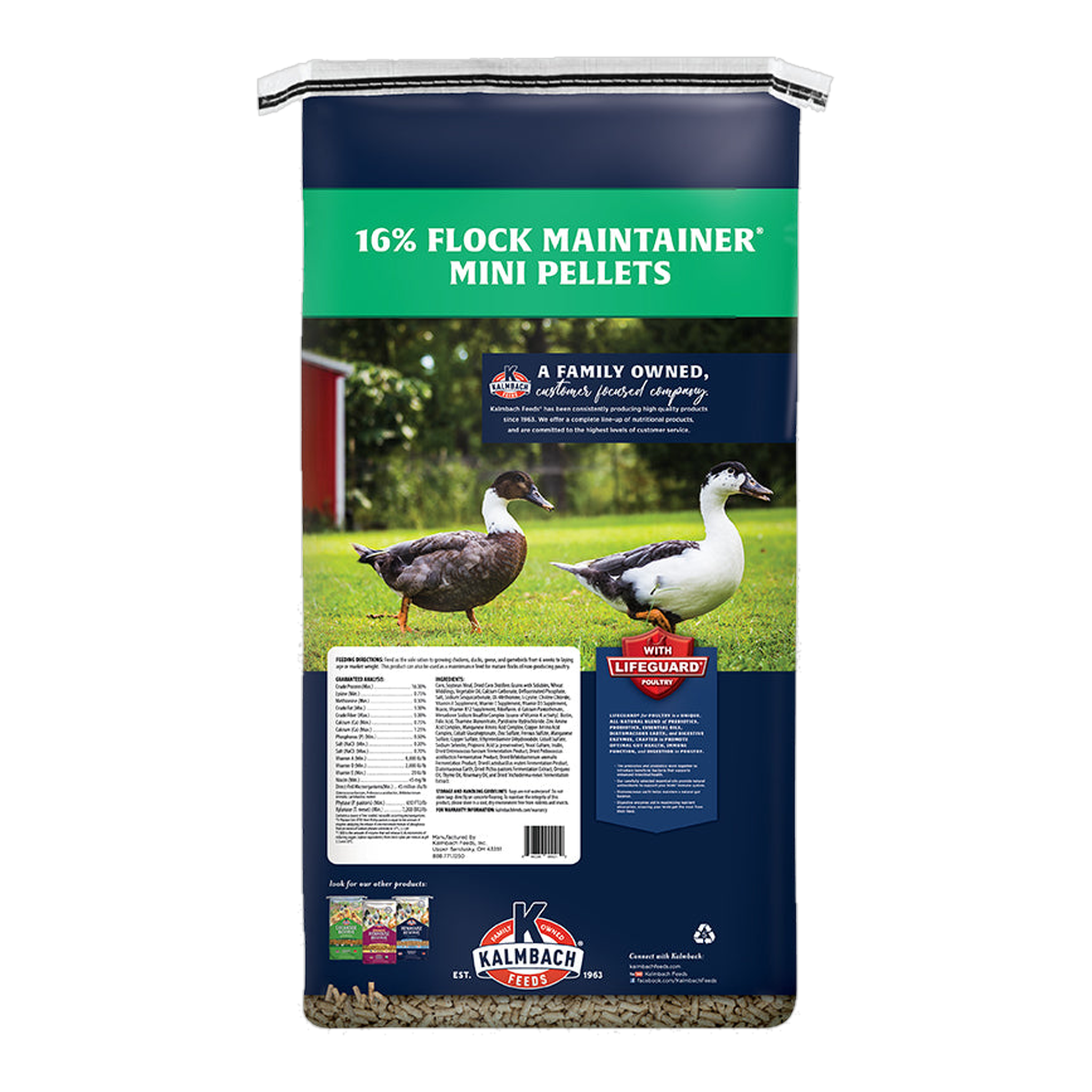 Kalmbach Feeds 16% Flock Maintainer Pellet 50 lb bag back with guaranteed analysis and ingredients #50 lb
