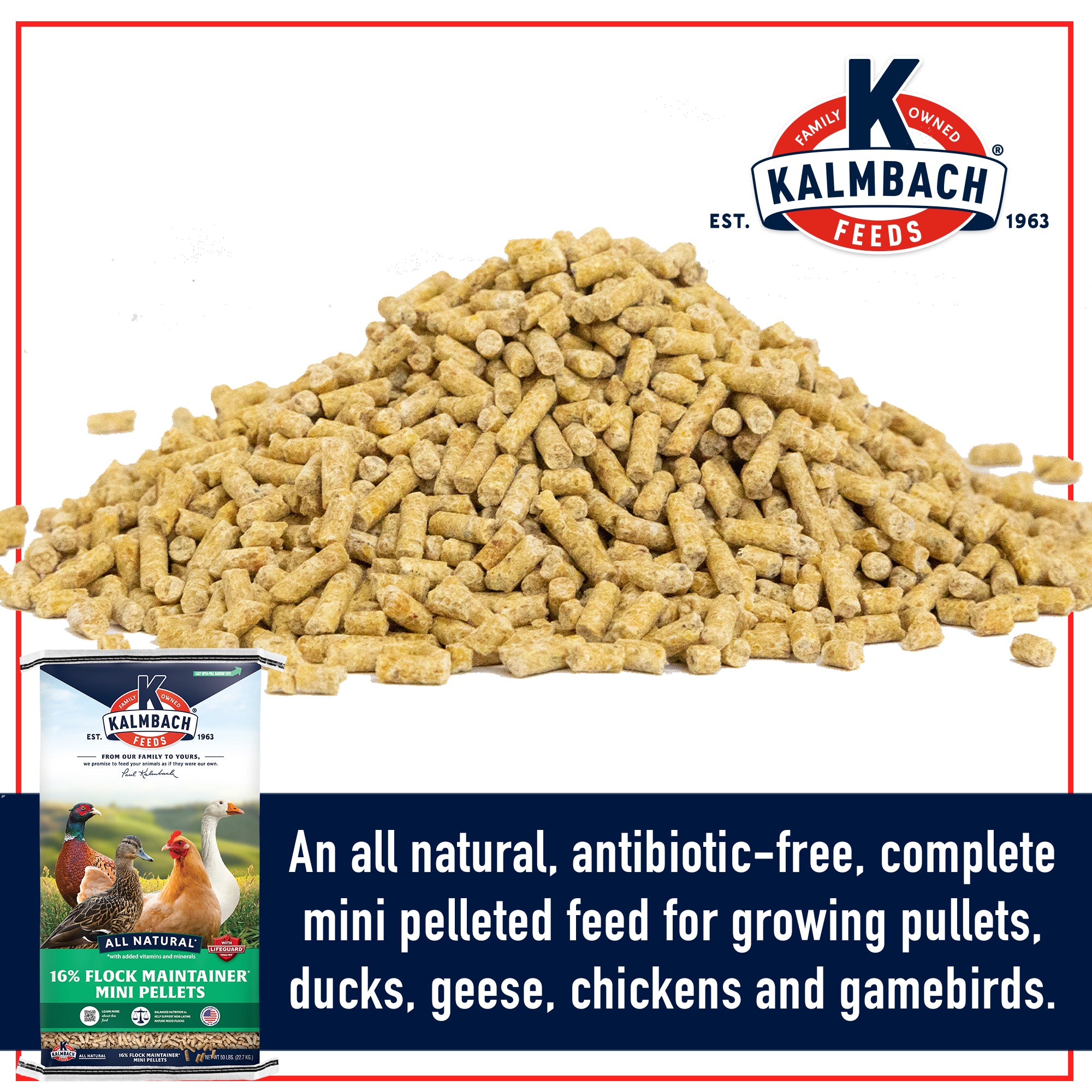 Kalmbach 16% Flock Maintainer mini pellets close-up showing all natural antibiotic-free feed