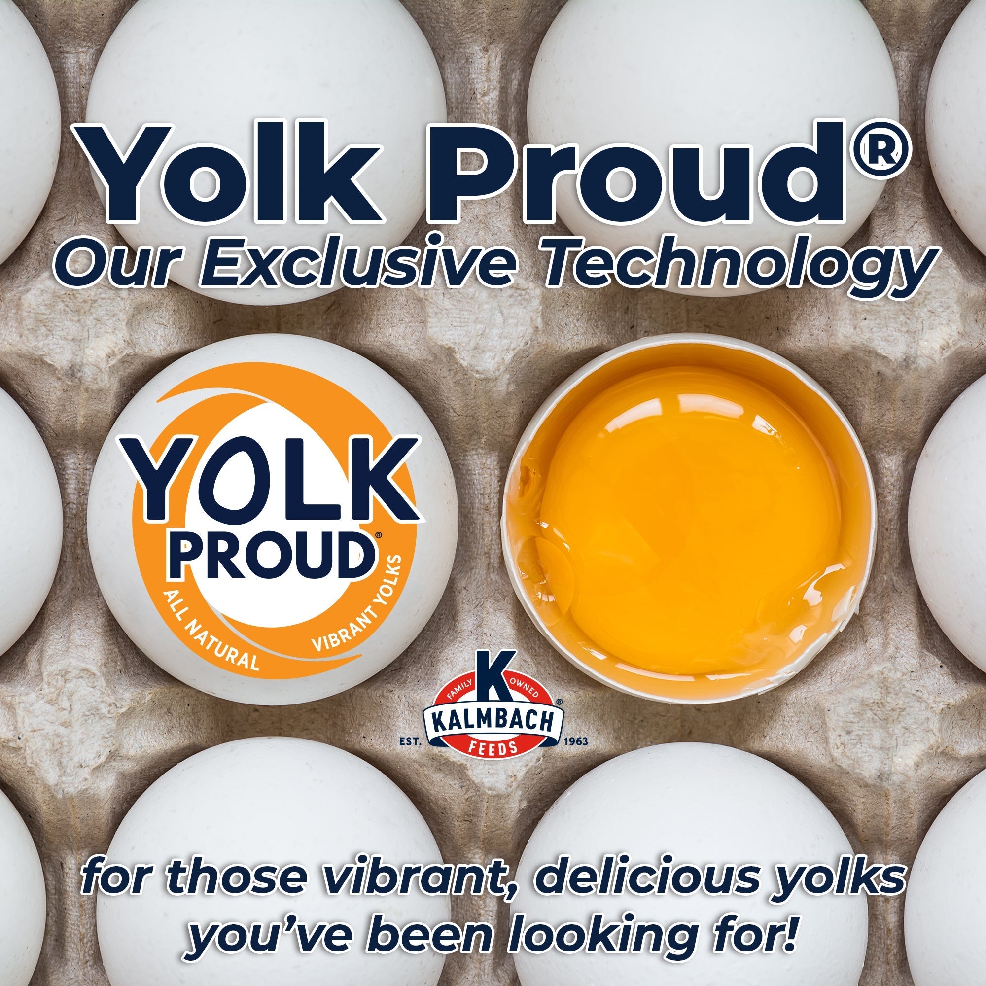 Yolk Proud exclusive technology for vibrant, delicious egg yolks