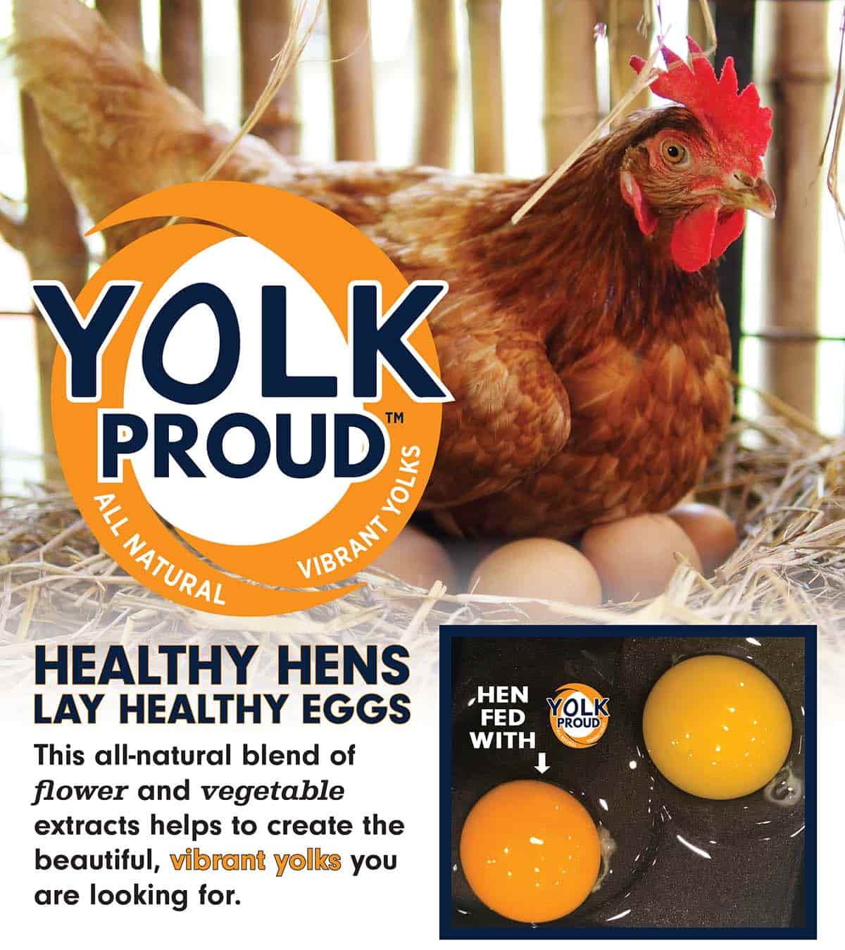 Yolk Proud technology - all-natural flower and vegetable extracts for vibrant yolks