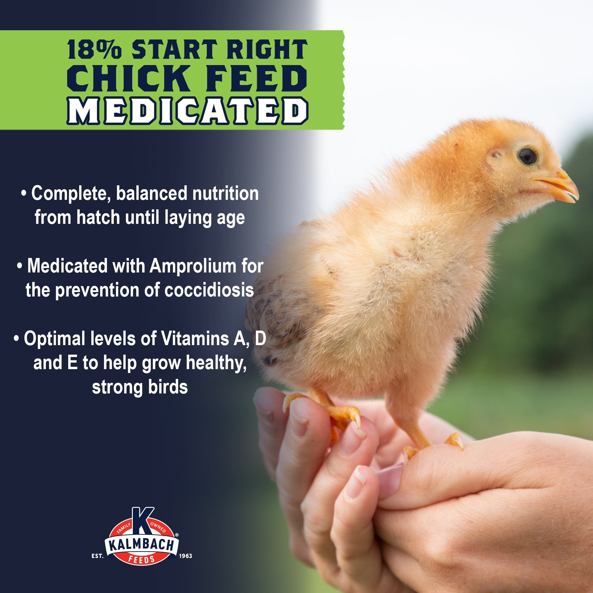 Benefits of Kalmbach 18% Start Right Medicated Chick Feed with Amprolium