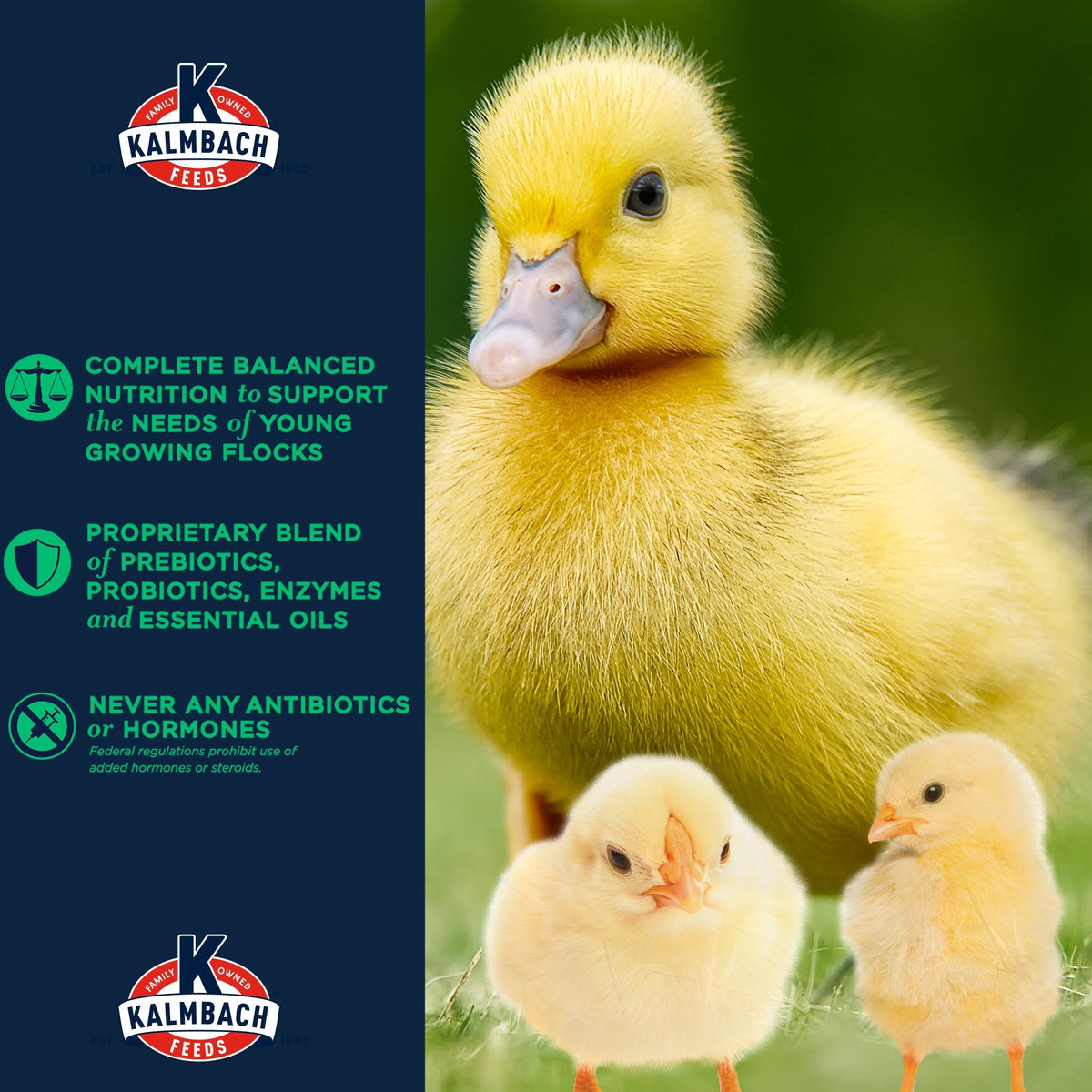 Kalmbach 20% Flock Maker benefits: complete balanced nutrition, prebiotics and probiotics, never any antibiotics or hormones