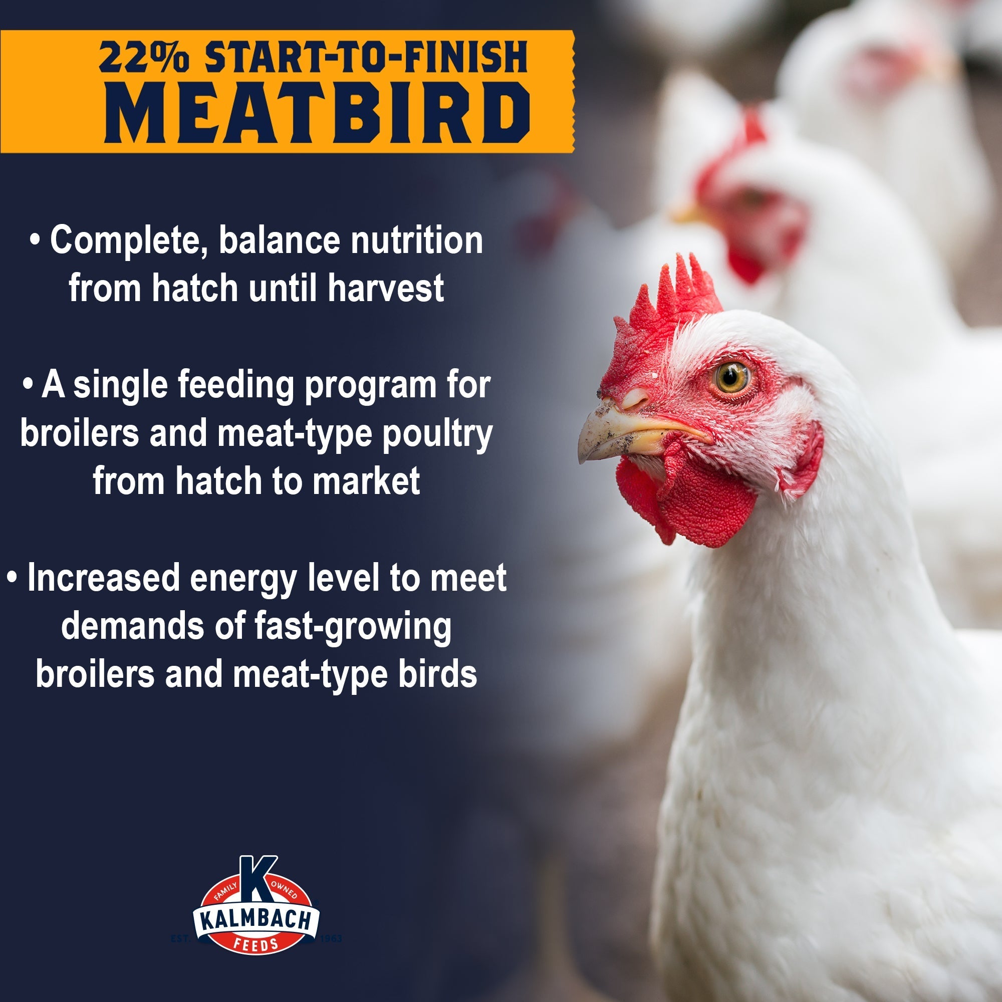 Kalmbach 22% Start-To-Finish Meatbird key benefits: complete balanced nutrition, single feeding program, increased energy