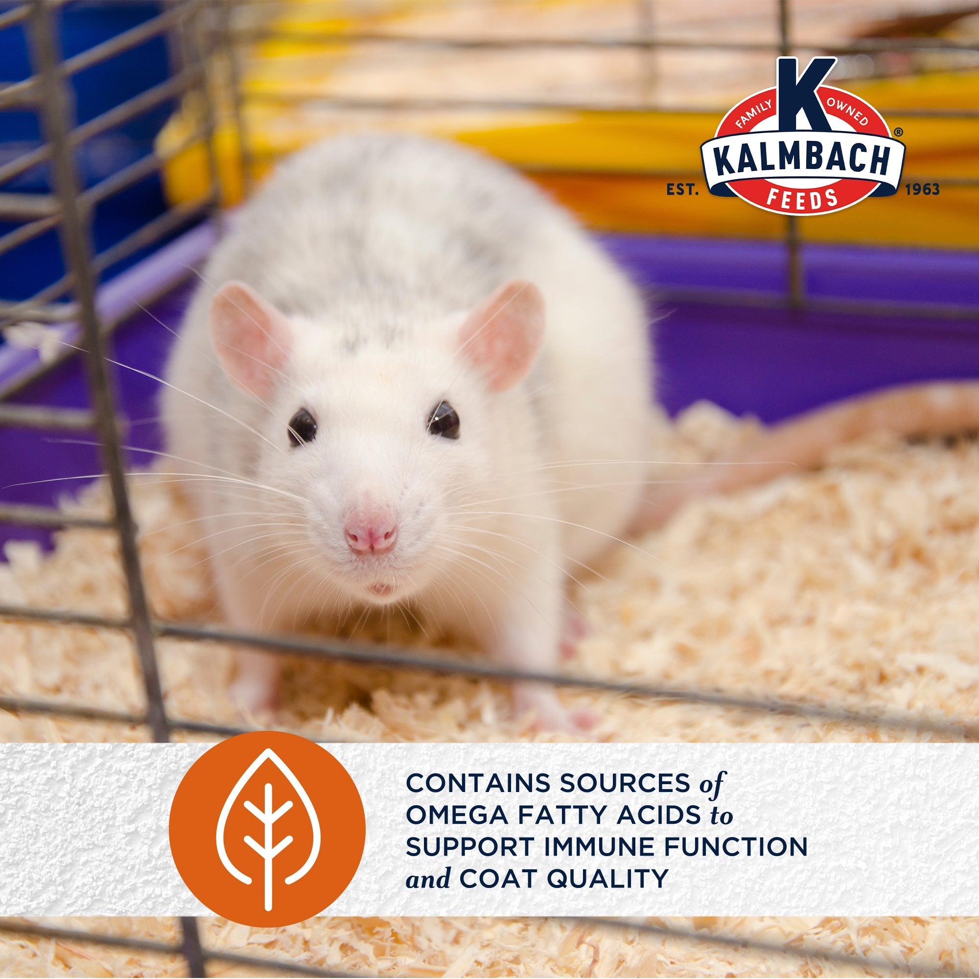 Contains sources of omega fatty acids to support immune function and coat quality