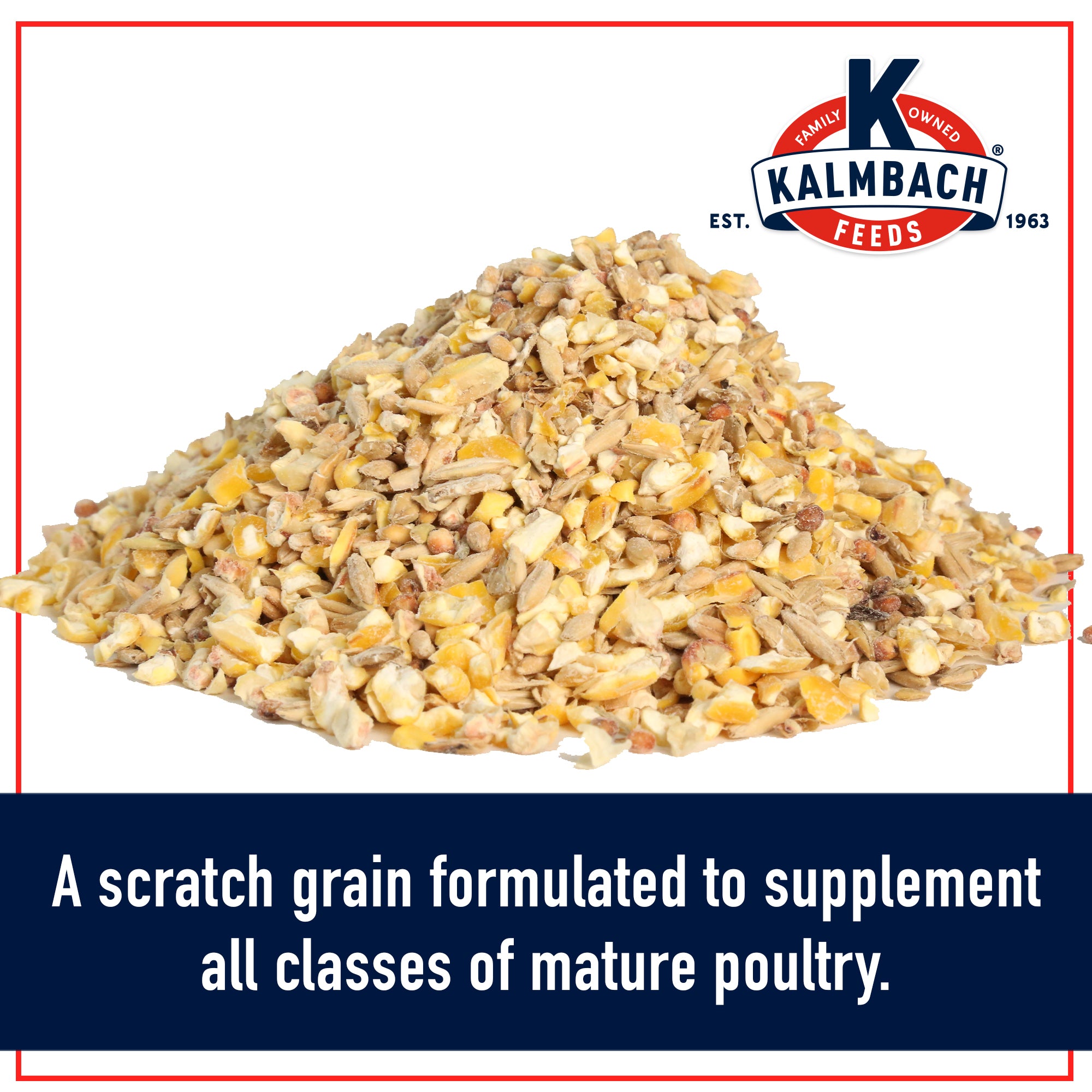 Close-up of Kalmbach 5-Grain Premium Scratch blend of cracked corn, wheat, oats, barley, and milo
