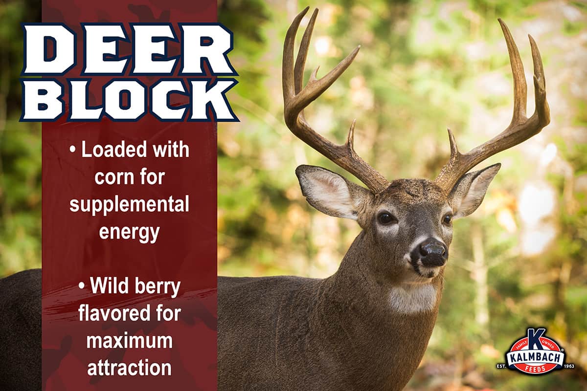 Kalmbach Deer Block benefits - loaded with corn for supplemental energy and wild berry flavored for maximum attraction