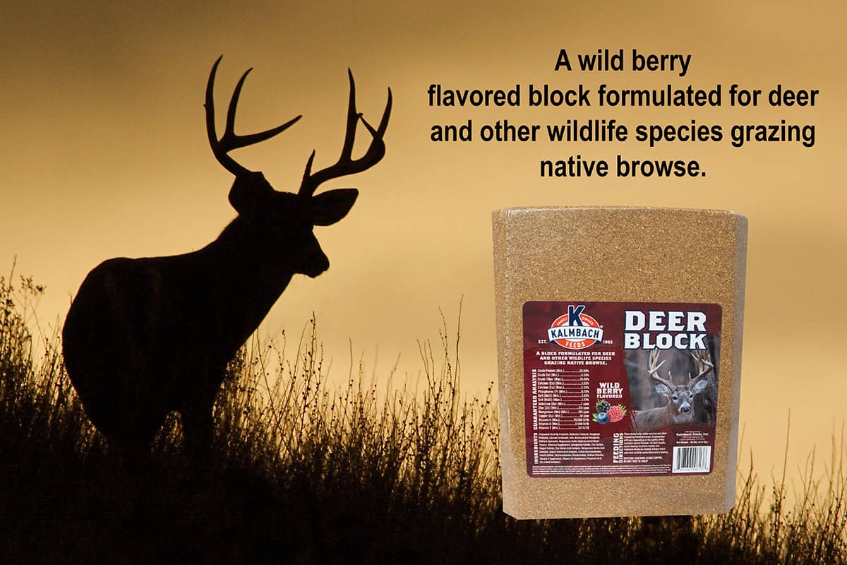 Kalmbach Deer Block infographic - a wild berry flavored block formulated for deer and other wildlife species grazing native browse